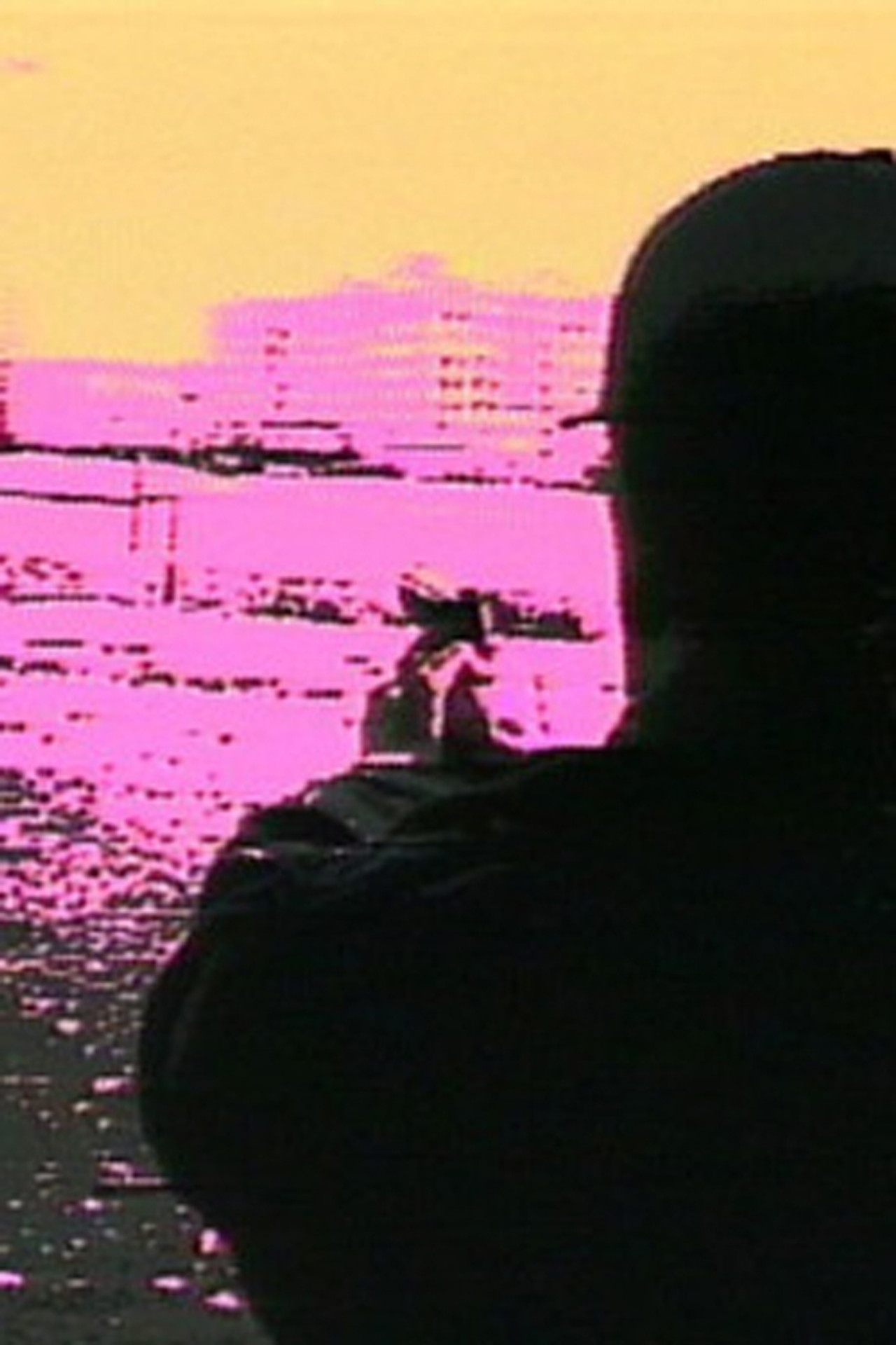 Pôster de White Homeland Commando