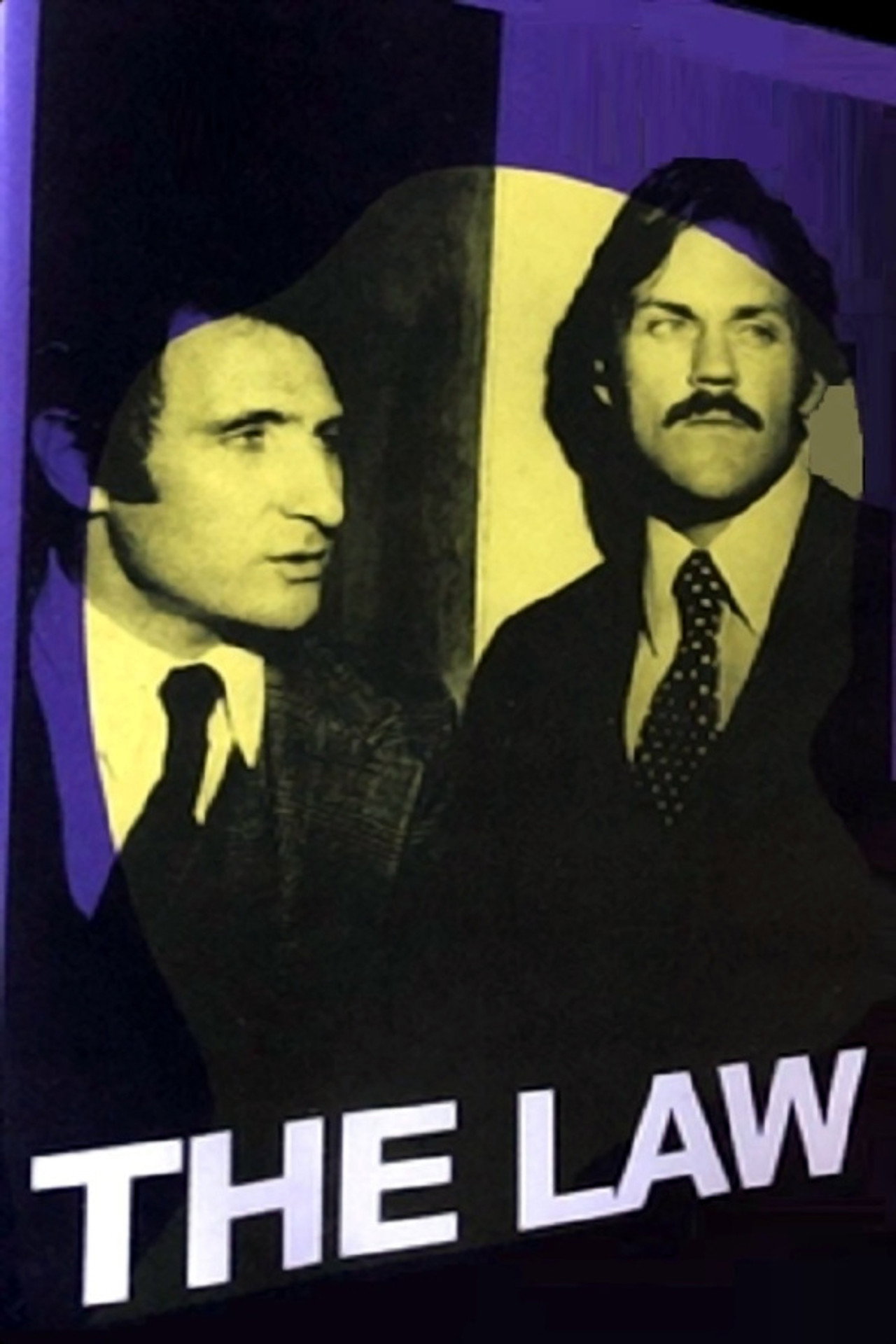 Pôster de The Law