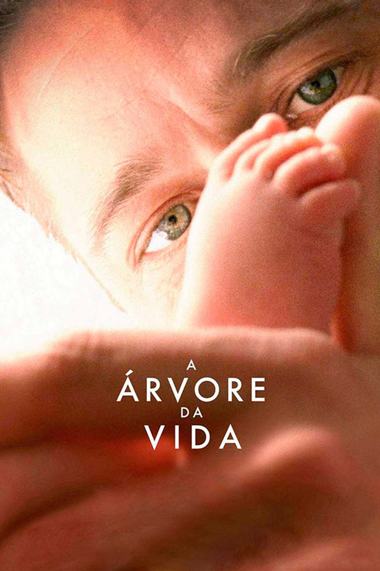 Pôster de A Árvore da Vida