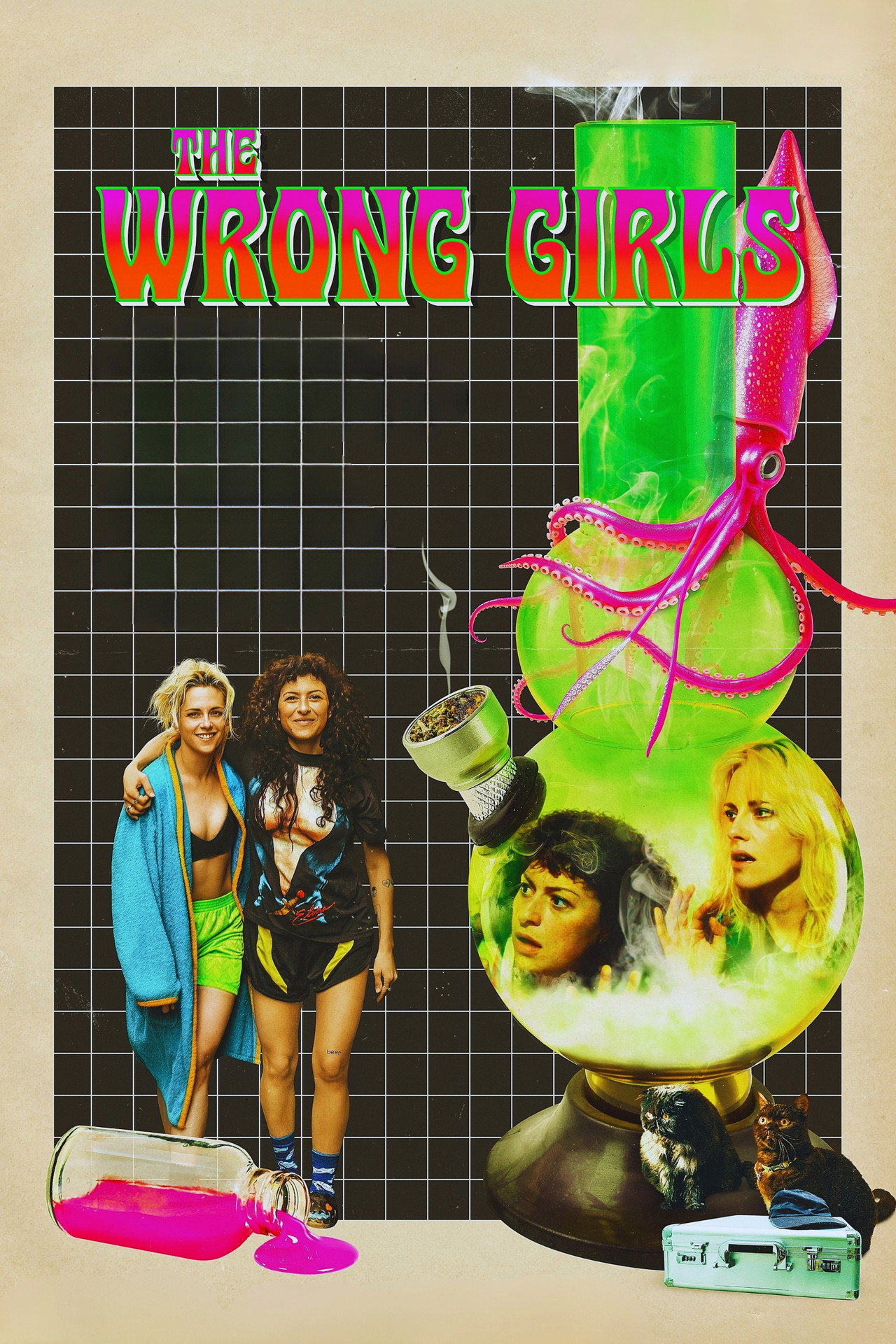 Pôster de The Wrong Girls