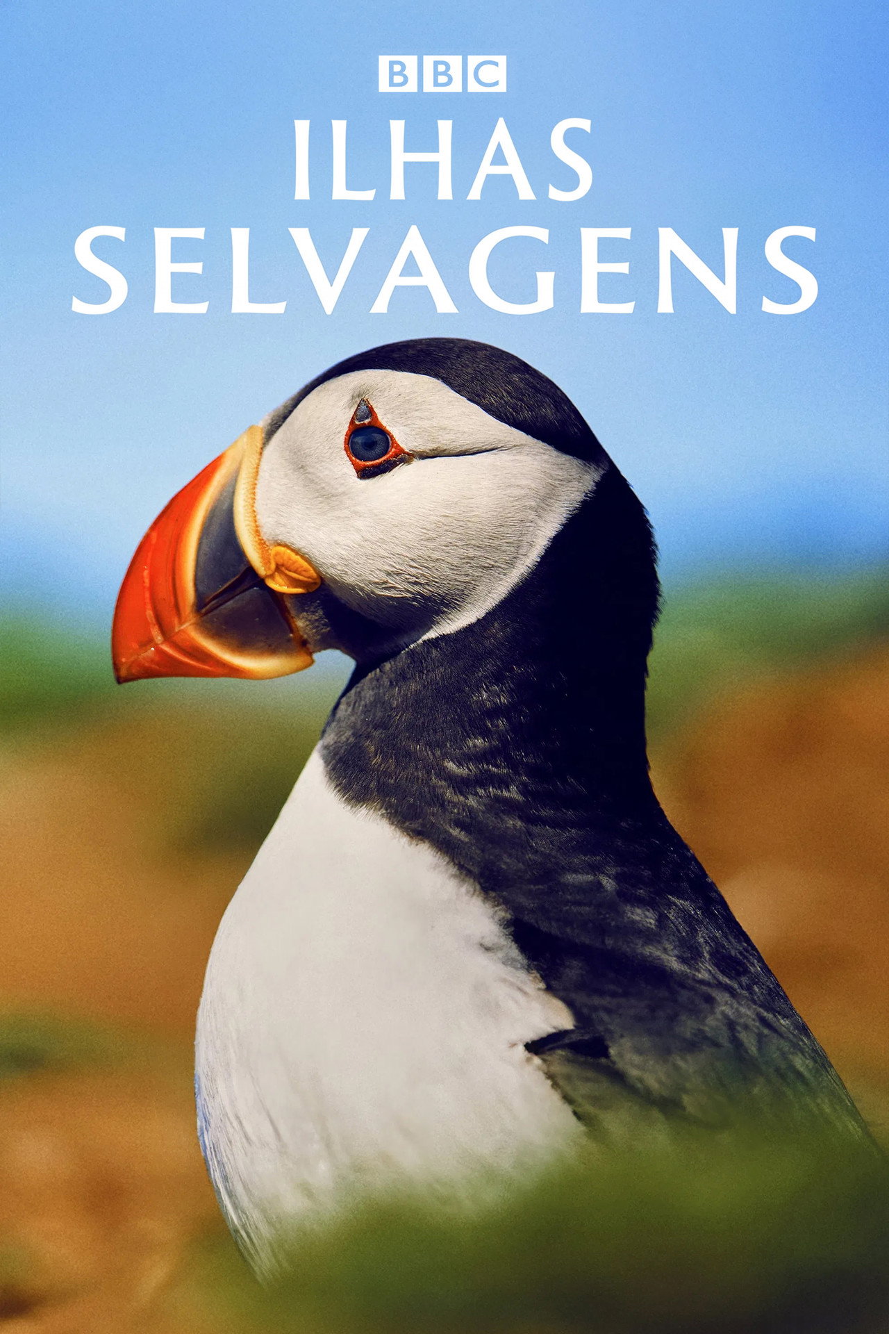 Pôster de Ilhas Selvagens