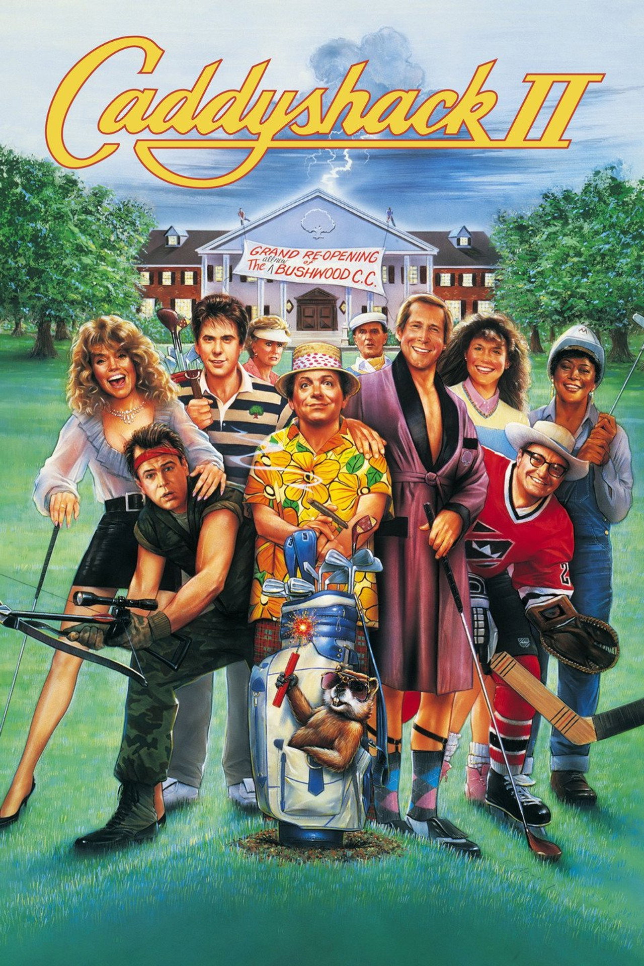 Pôster de Caddyshack II