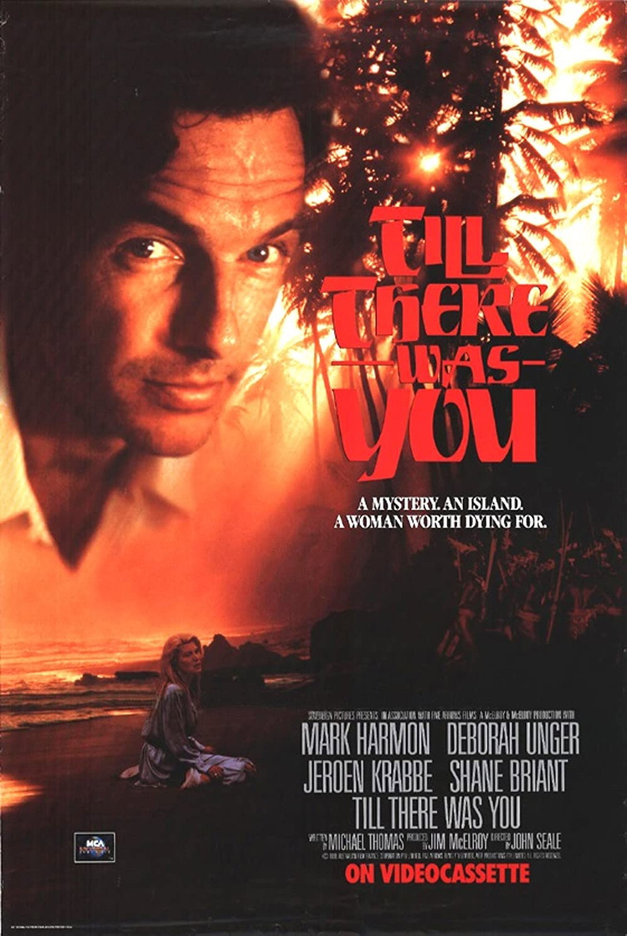 Pôster de Till There Was You