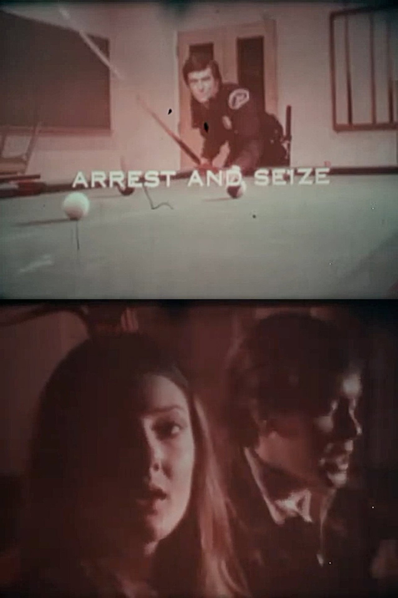 Pôster de Under the Law: Arrest and Seize
