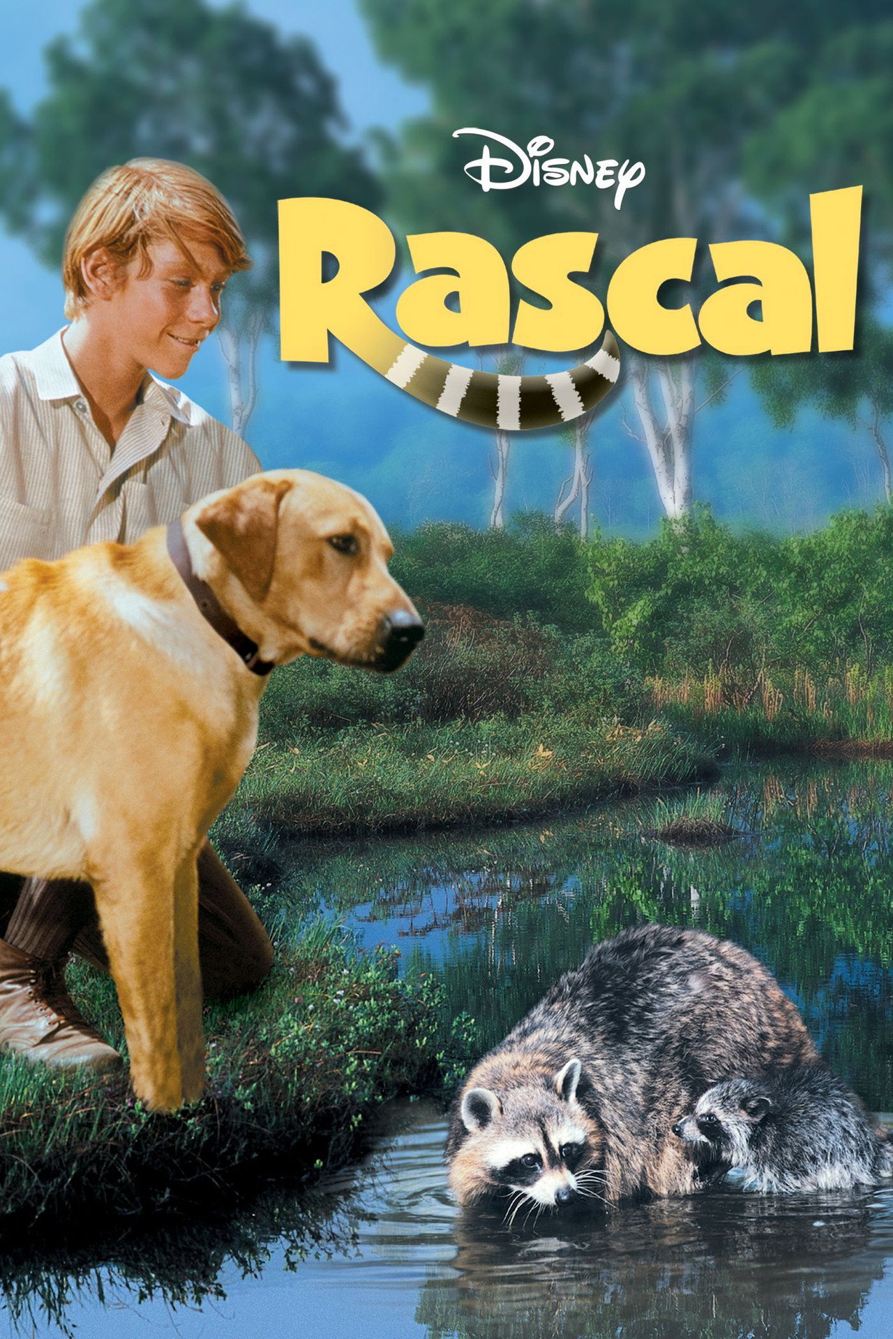 Pôster de Rascal