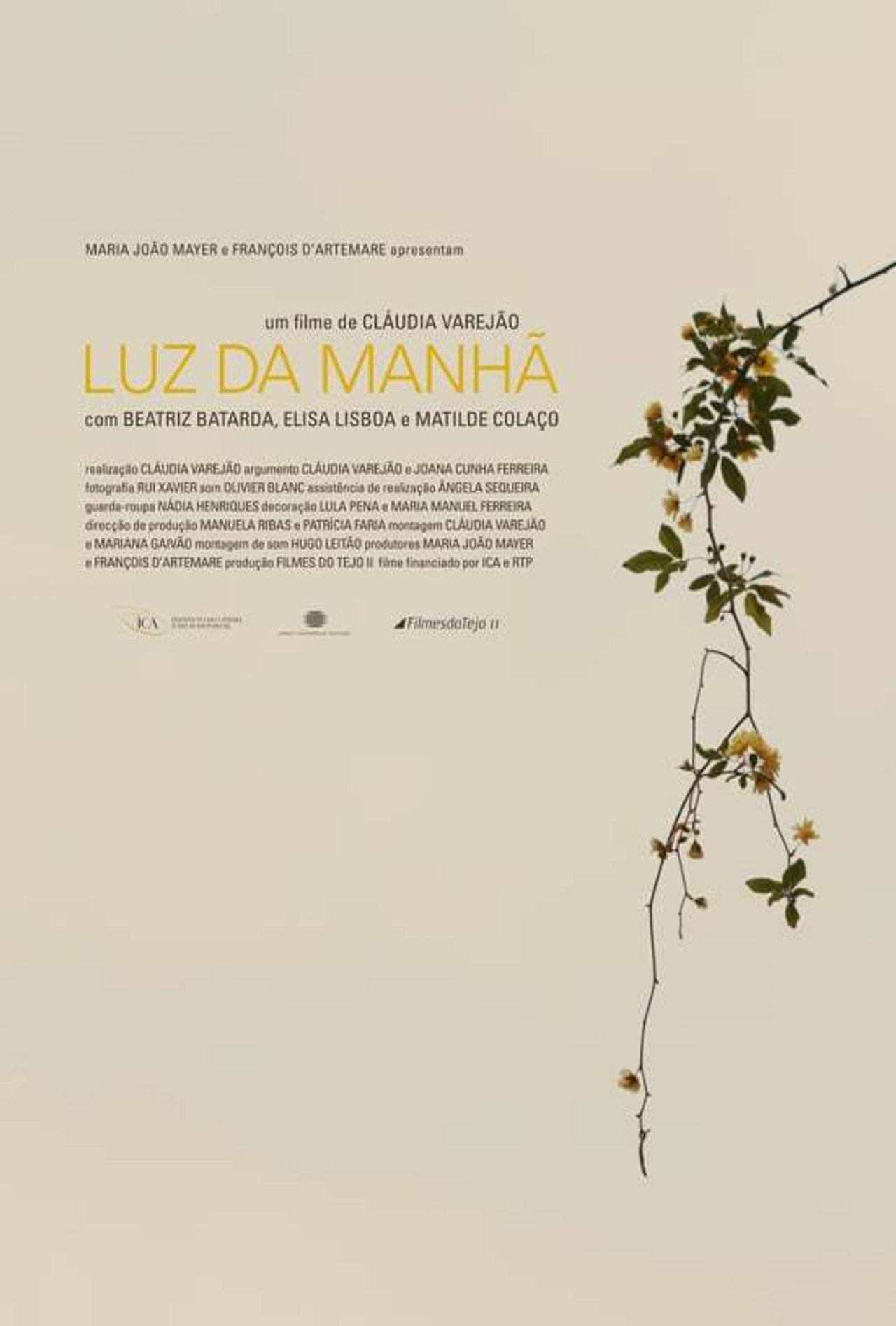 Pôster de Luz da Manhã