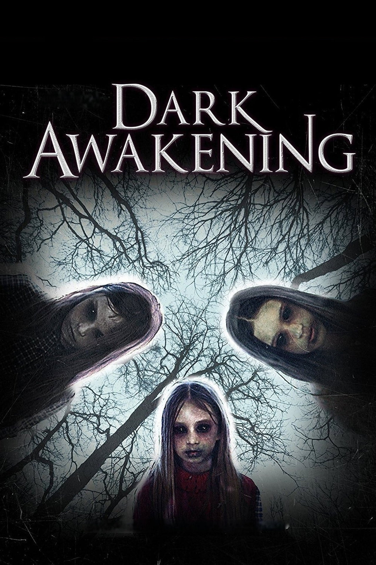 Pôster de Dark Awakening