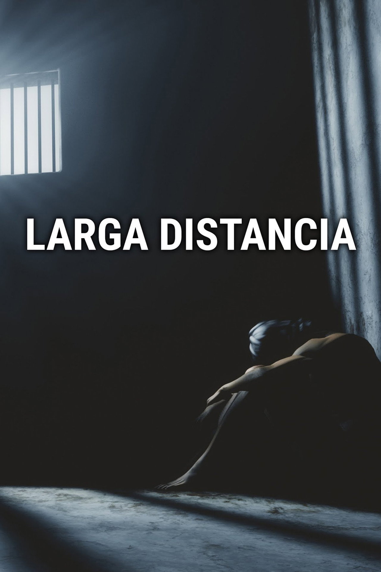 Pôster de Larga distancia