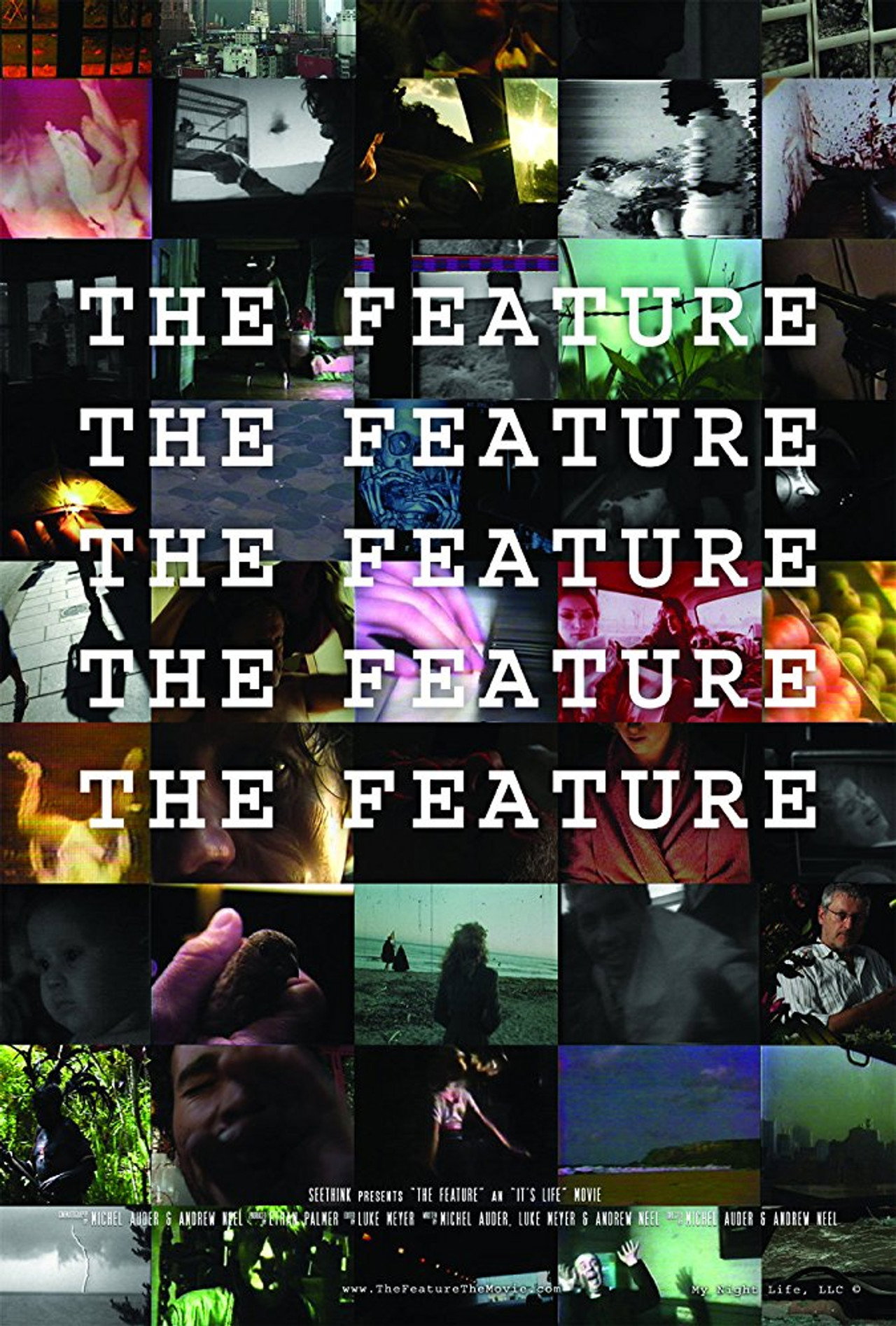 Pôster de The Feature