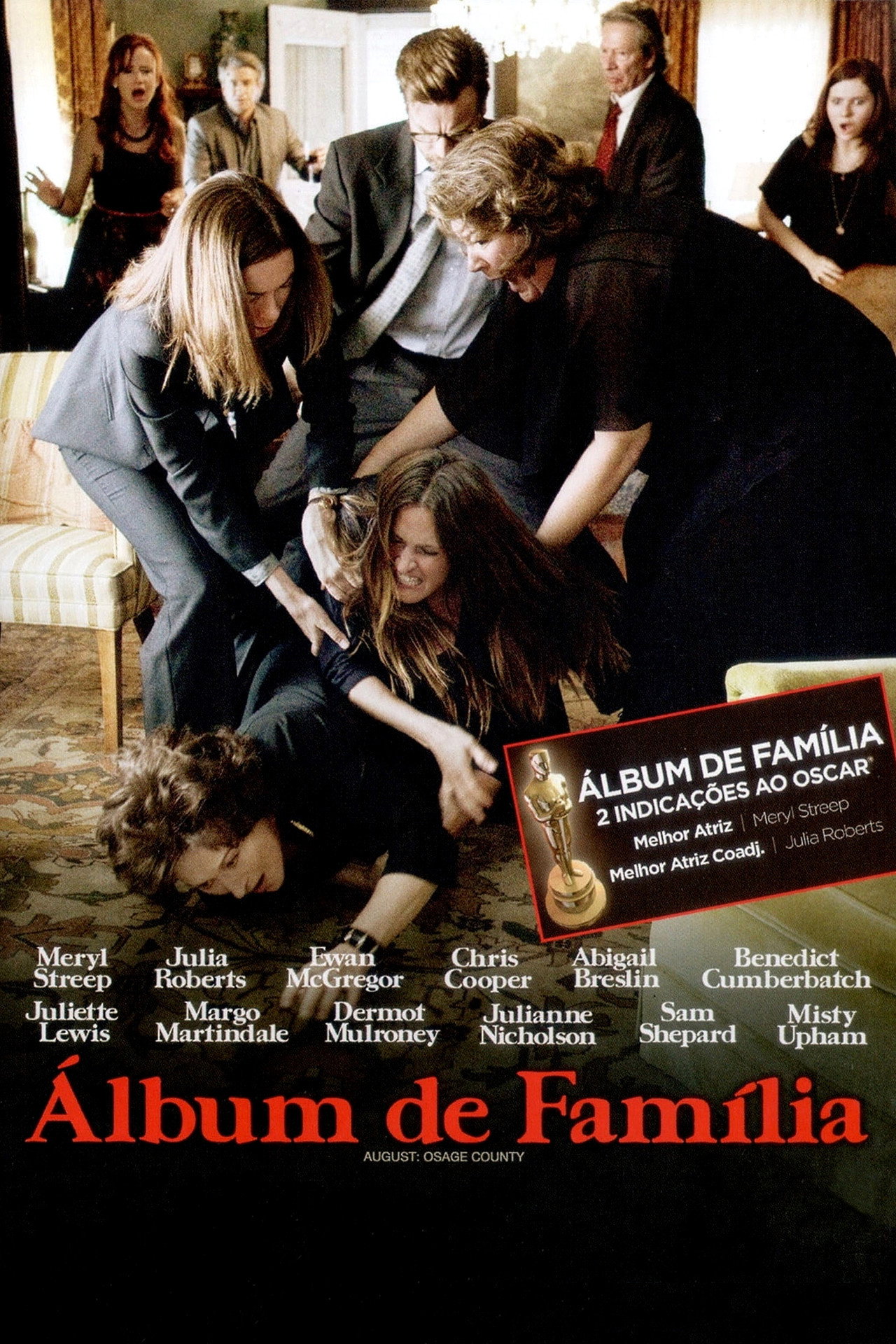 Pôster de Álbum de Família