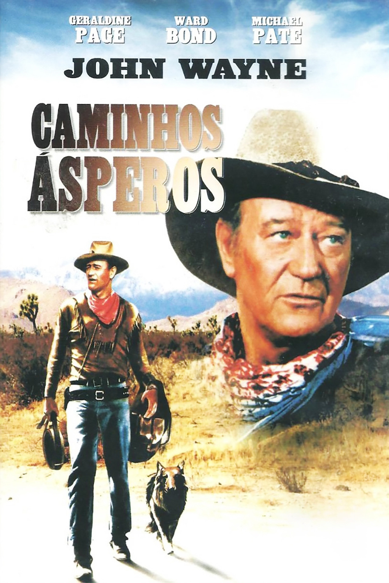 Pôster de Caminhos Ásperos