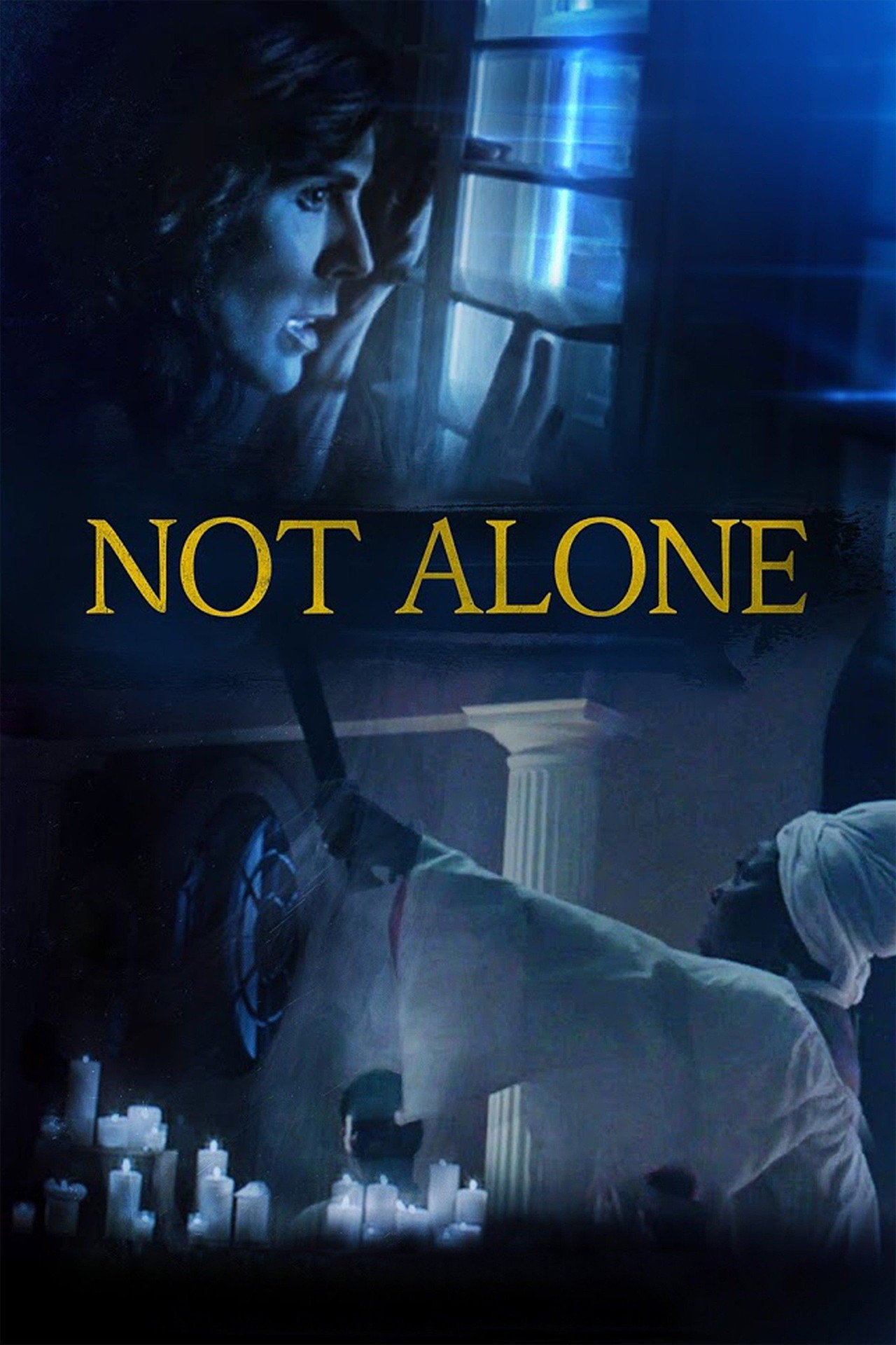 Pôster de Not Alone