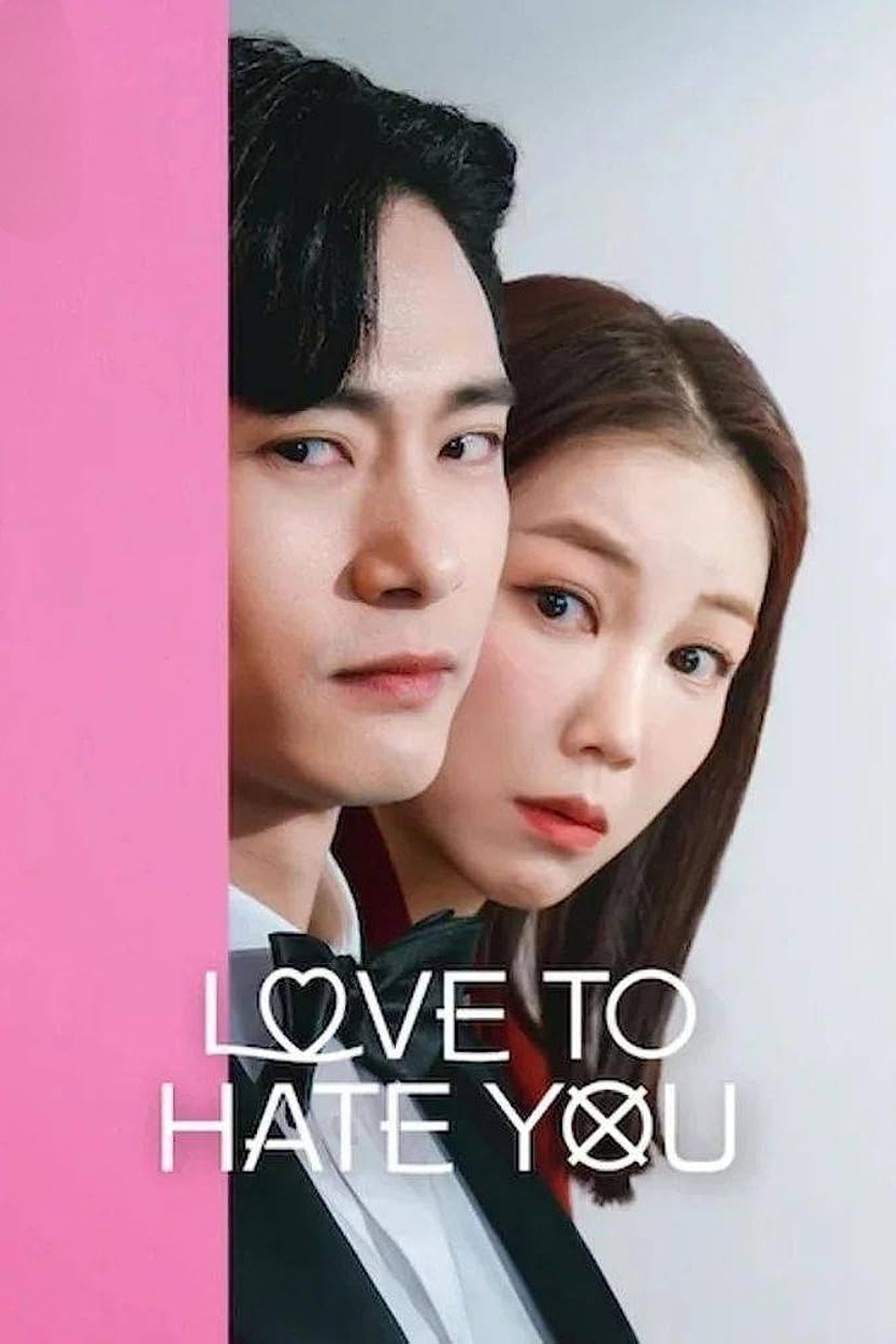 Pôster de Love to Hate You