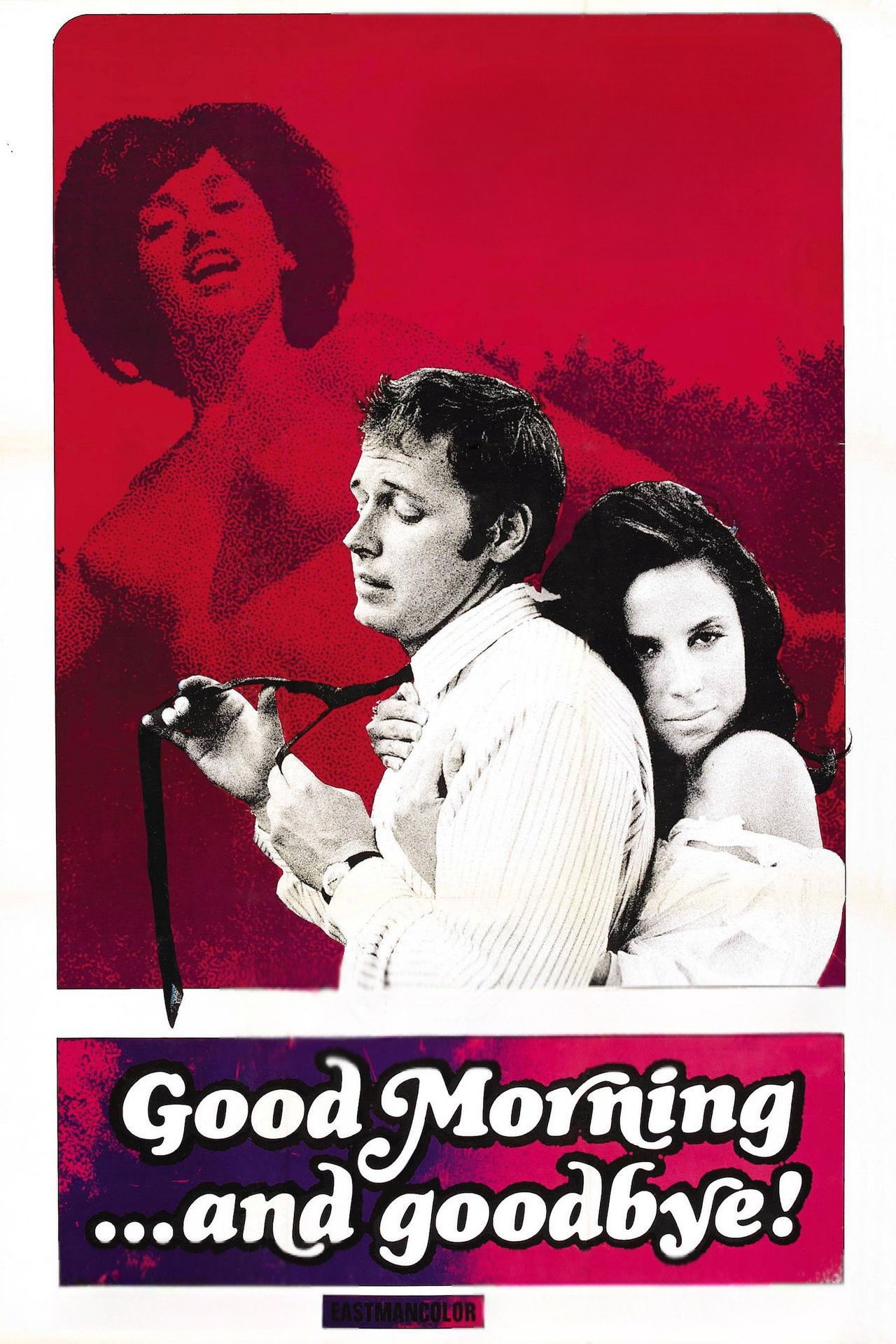 Pôster de Good Morning... and Goodbye!