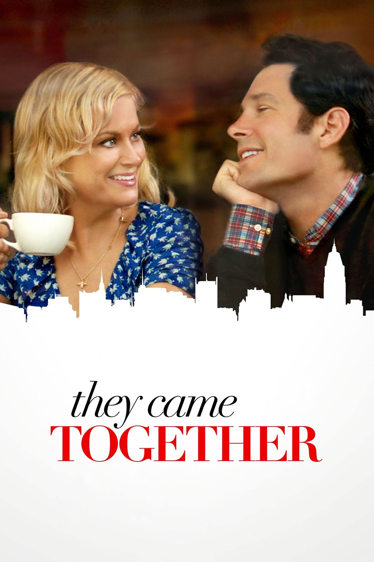 Pôster de They Came Together