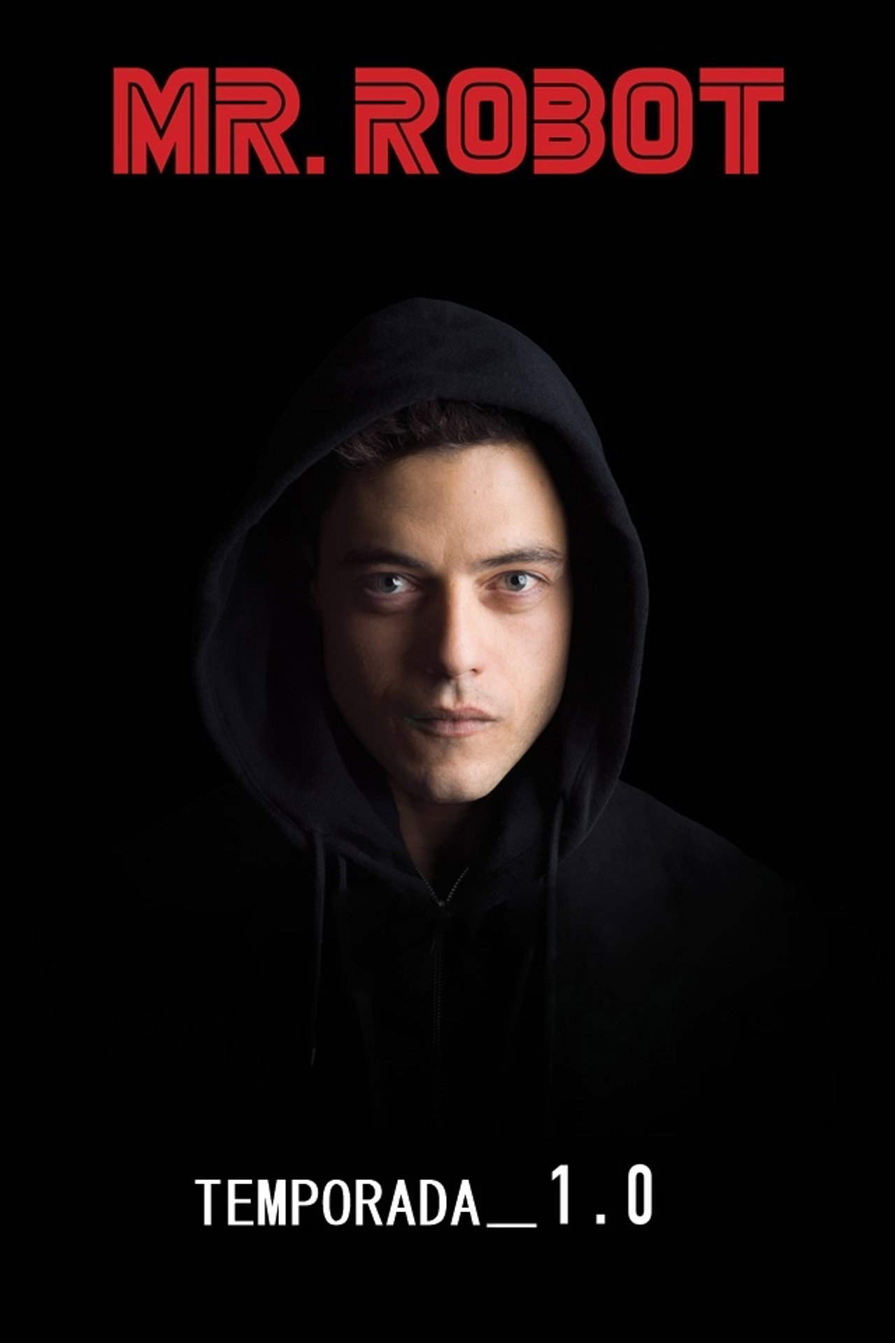 Pôster de Mr. Robot