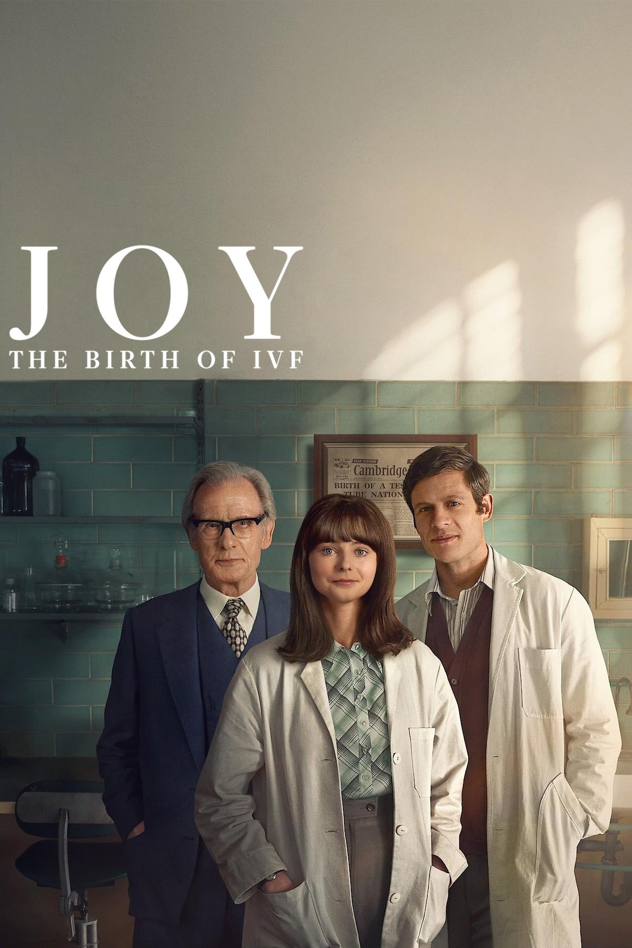 Pôster de JOY