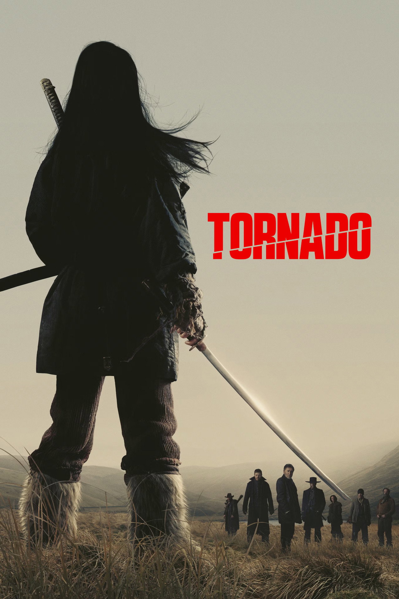 Pôster de Tornado