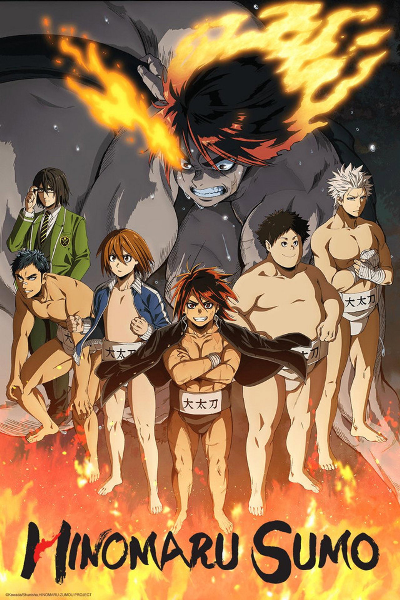 Pôster de Hinomaru Sumo