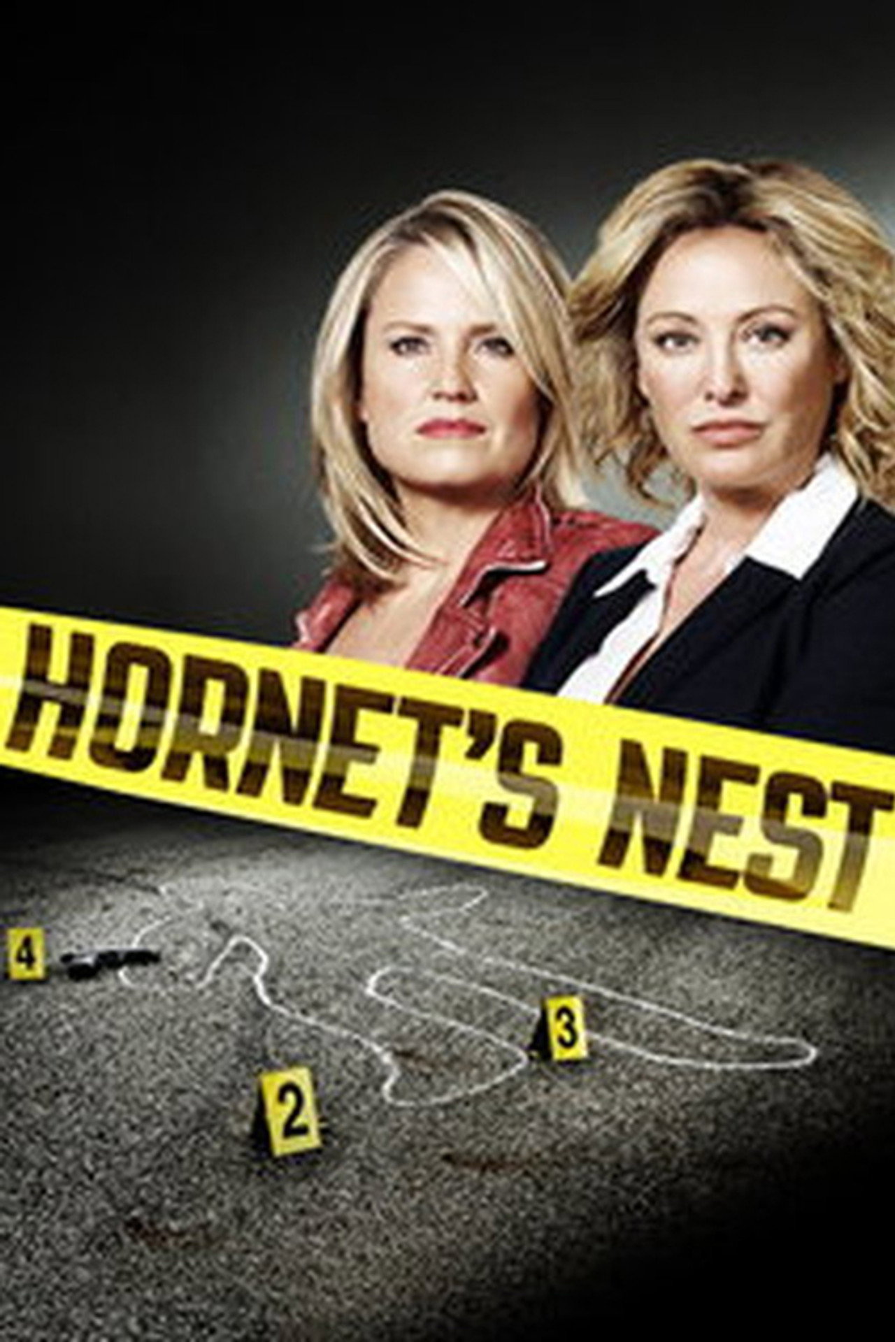Pôster de Hornet's Nest