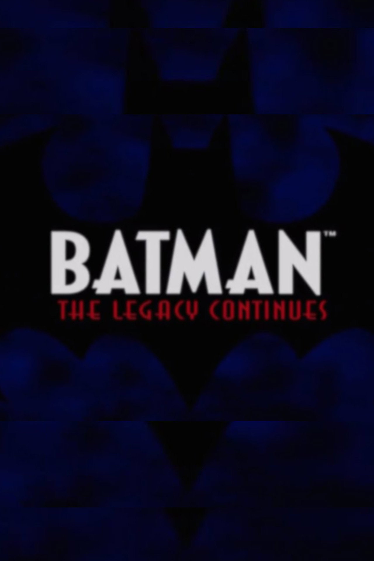Pôster de Batman: The Legacy Continues
