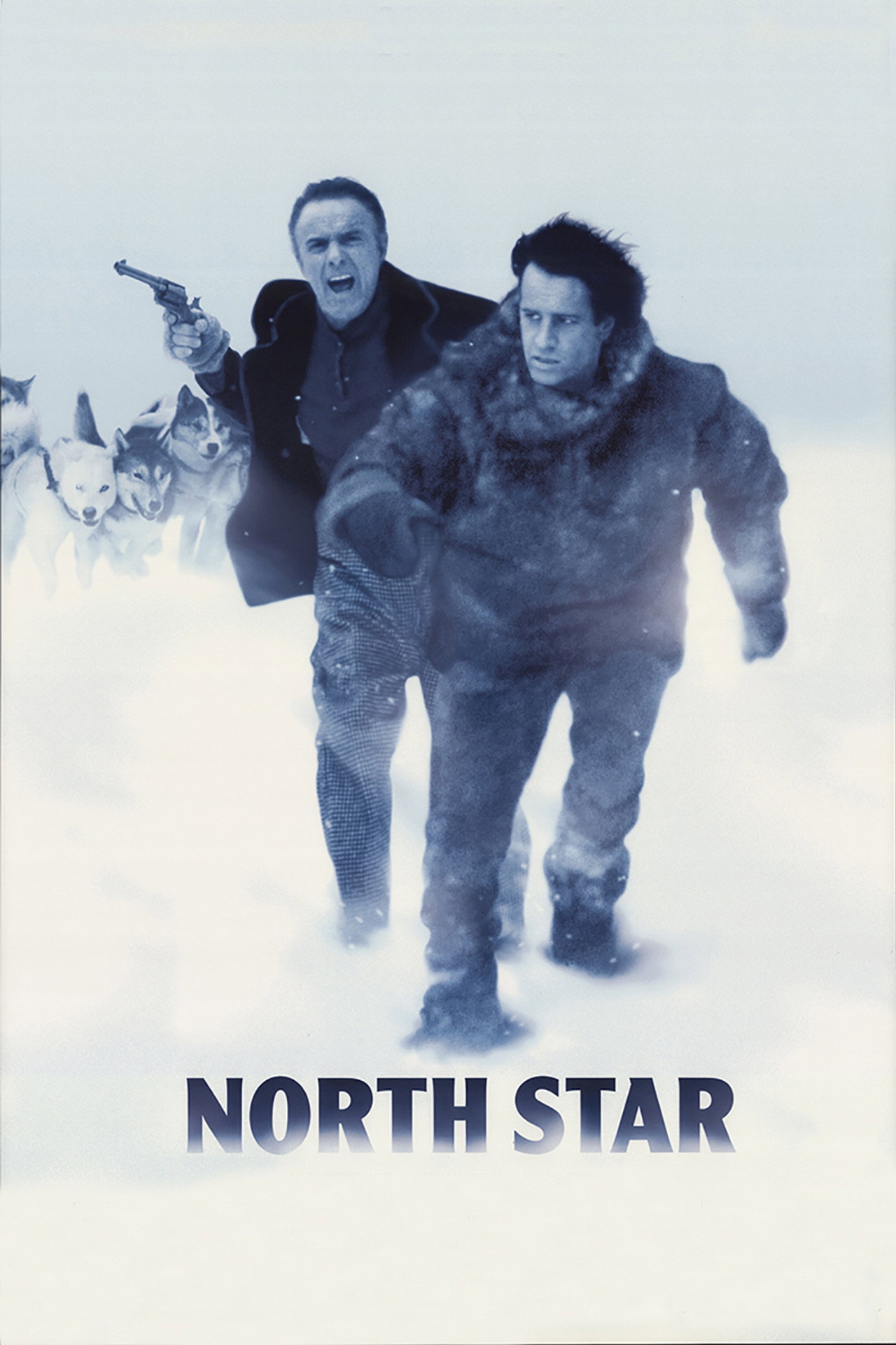 Pôster de North Star