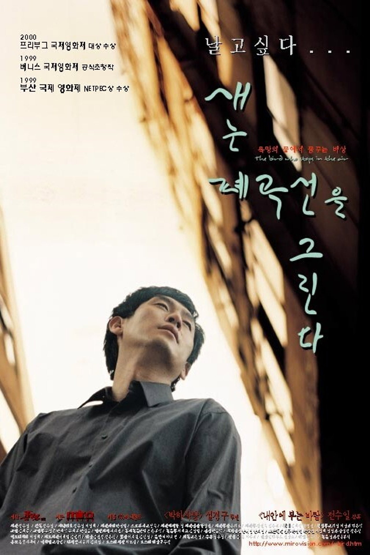 Pôster de 새는 폐곡선을 그린다