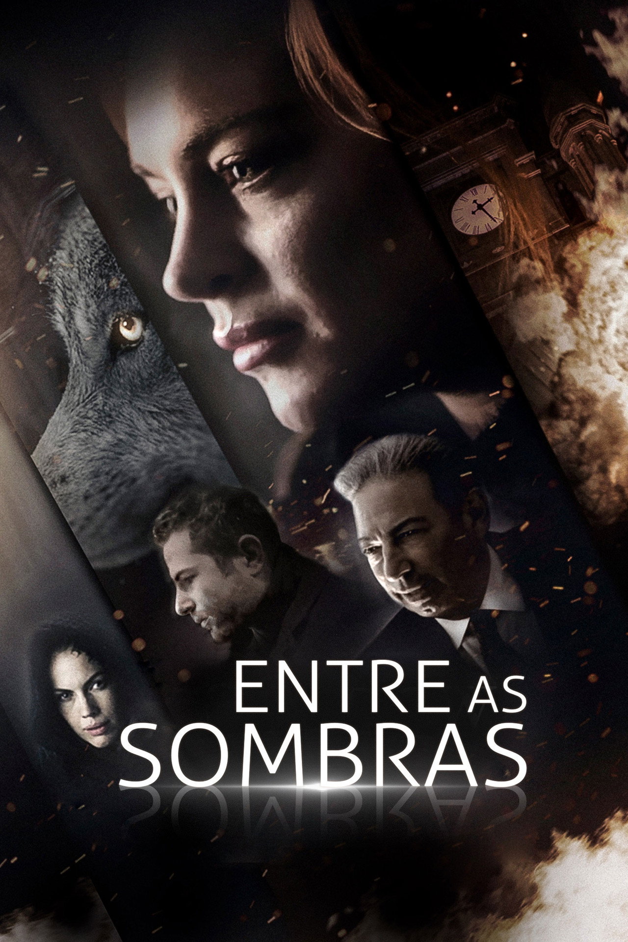 Pôster de Entre as Sombras