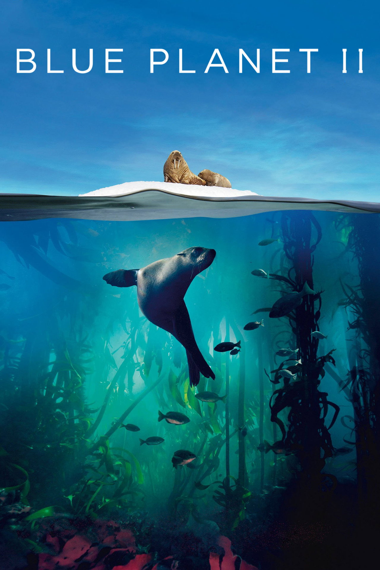 Pôster de Blue Planet II