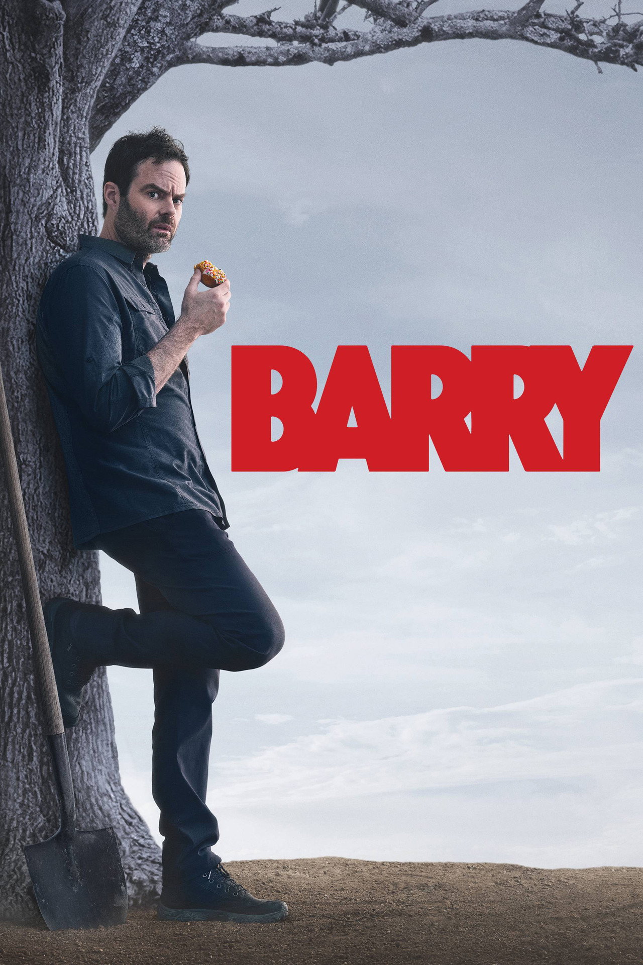 Pôster de Barry