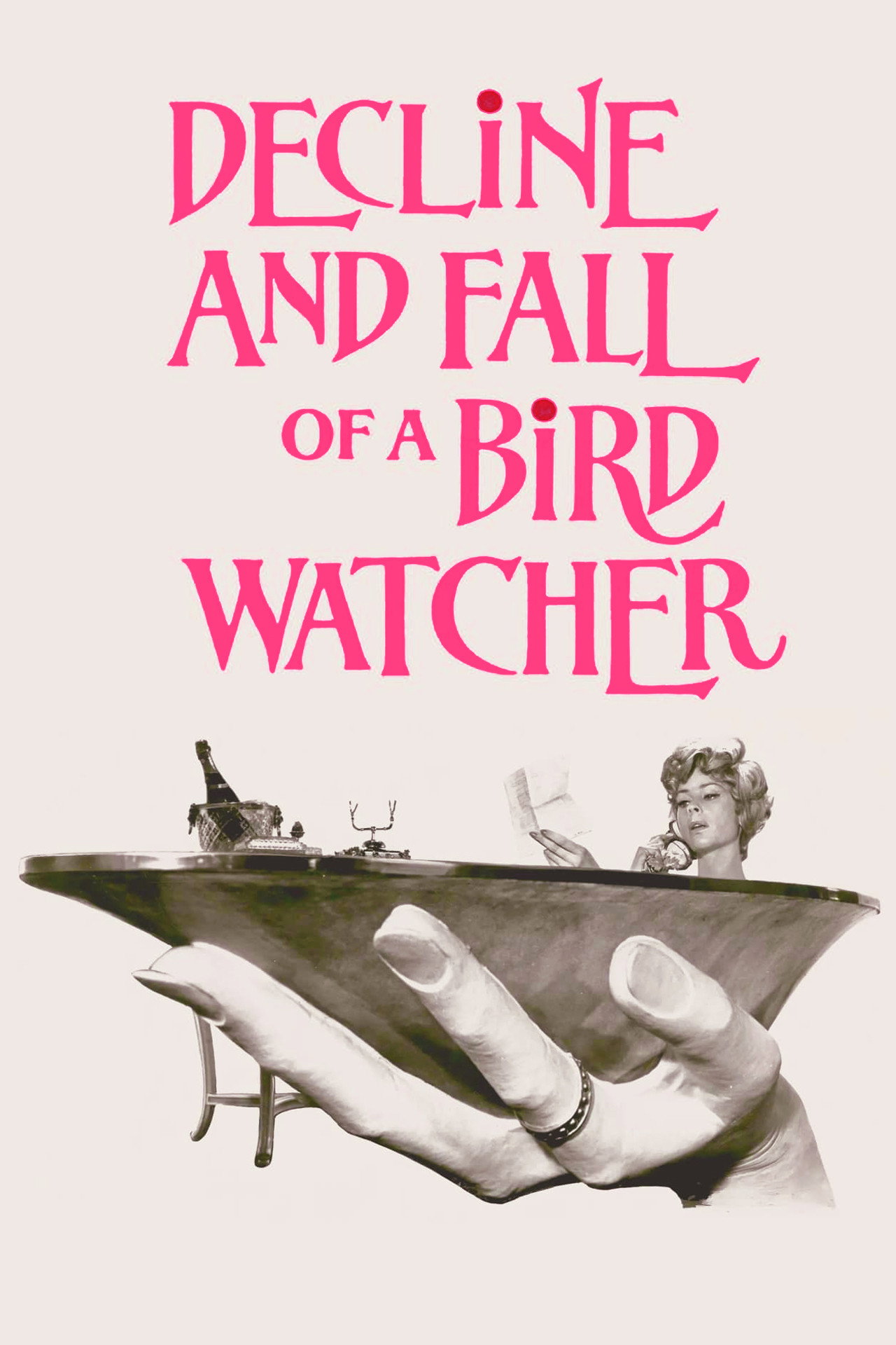 Pôster de Decline and Fall ...of a Birdwatcher