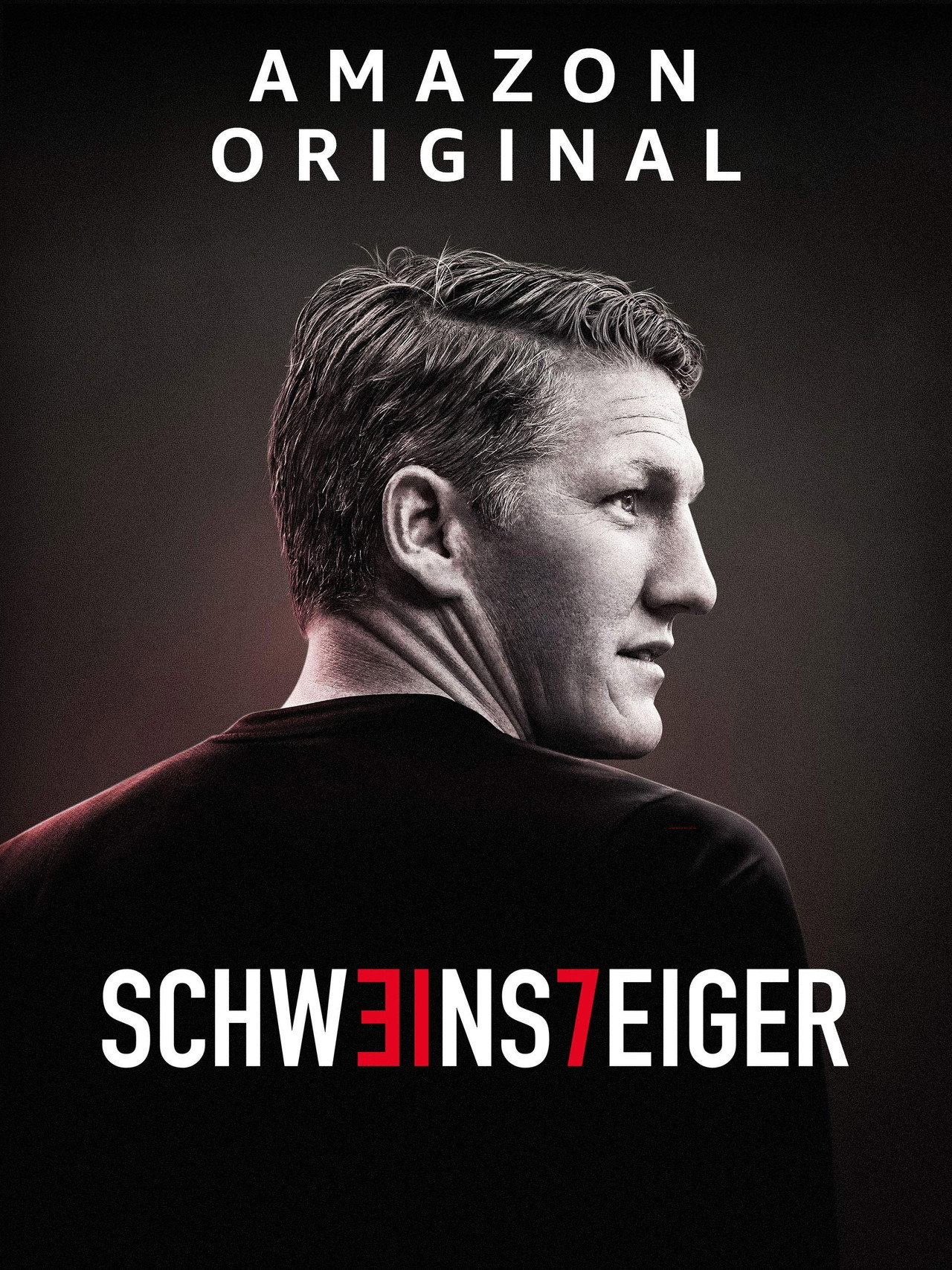 Pôster de SCHW31NS7EIGER: Memories - Von Anfang bis Legende
