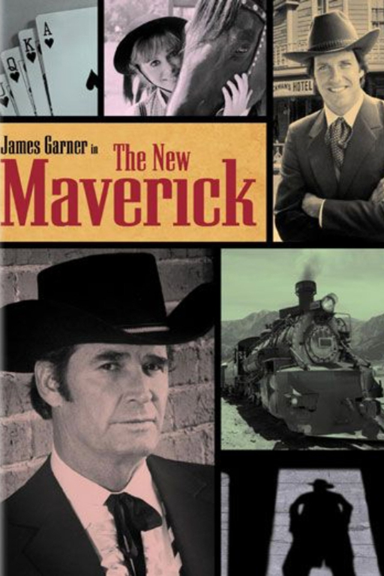 Pôster de The New Maverick