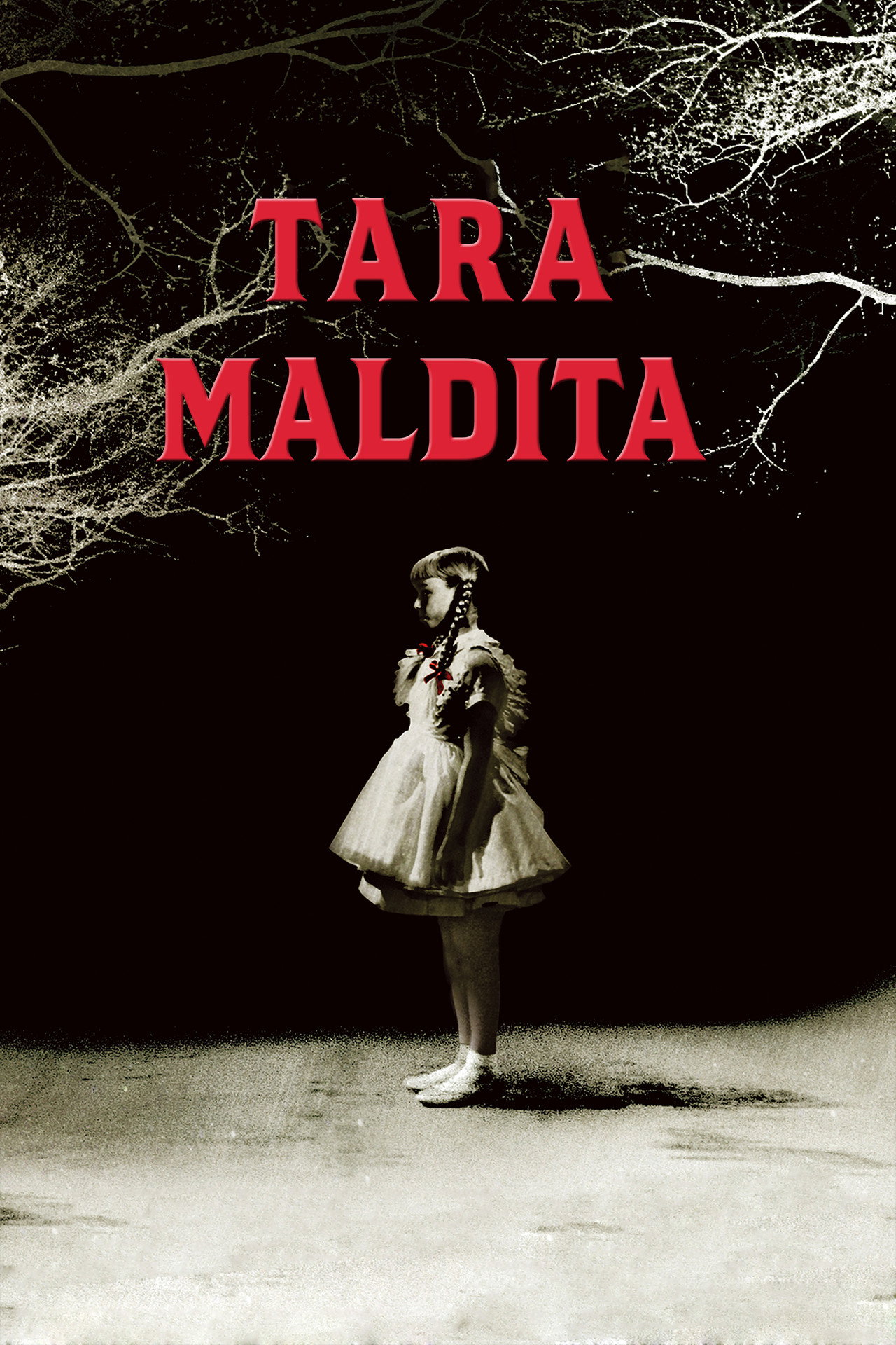 Pôster de Tara Maldita