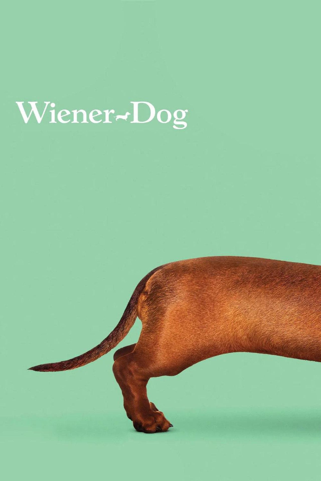 Pôster de Wiener-Dog
