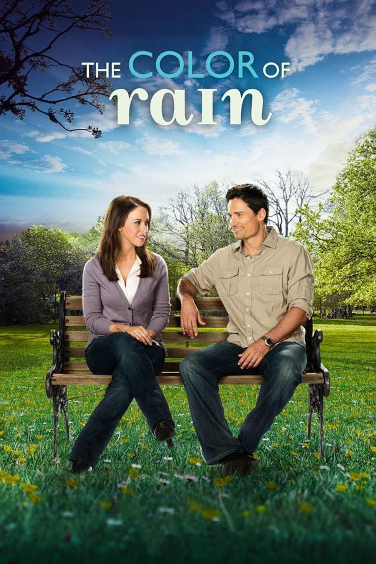Pôster de Revivendo o Amor