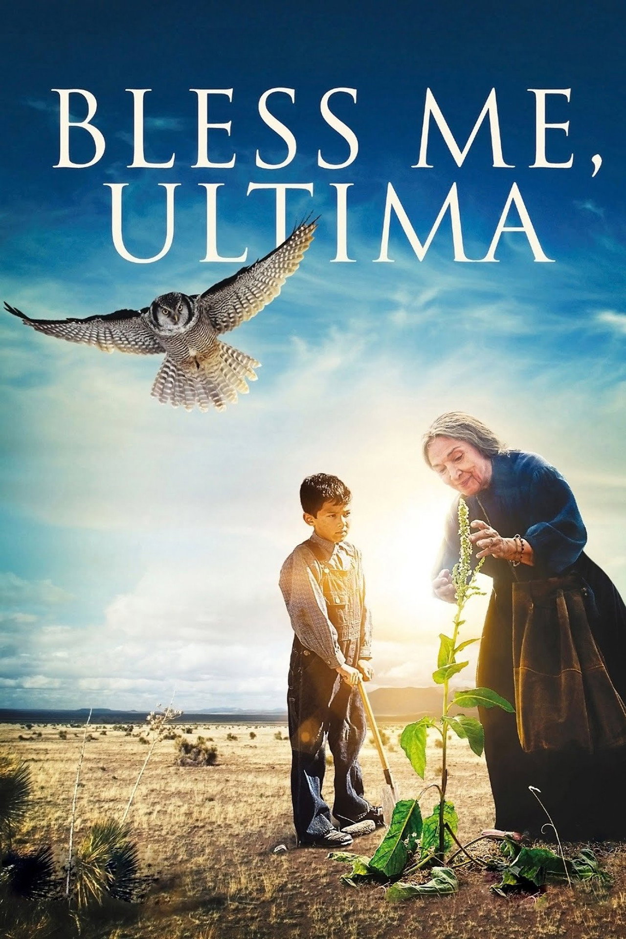 Pôster de Abençoe-me, Ultima: A Curandeira
