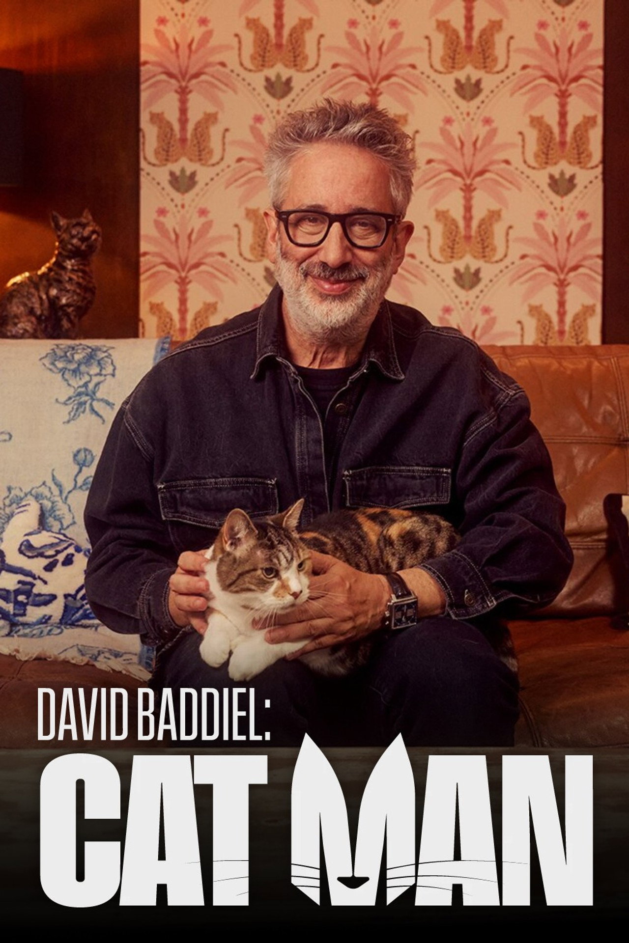 Pôster de David Baddiel: Cat Man