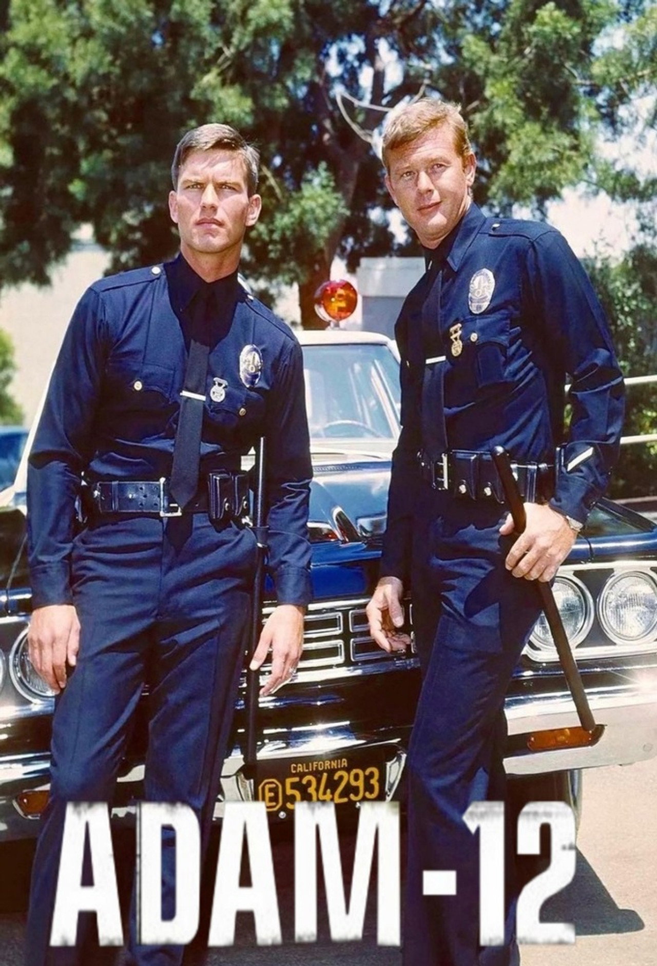 Pôster de Adam-12