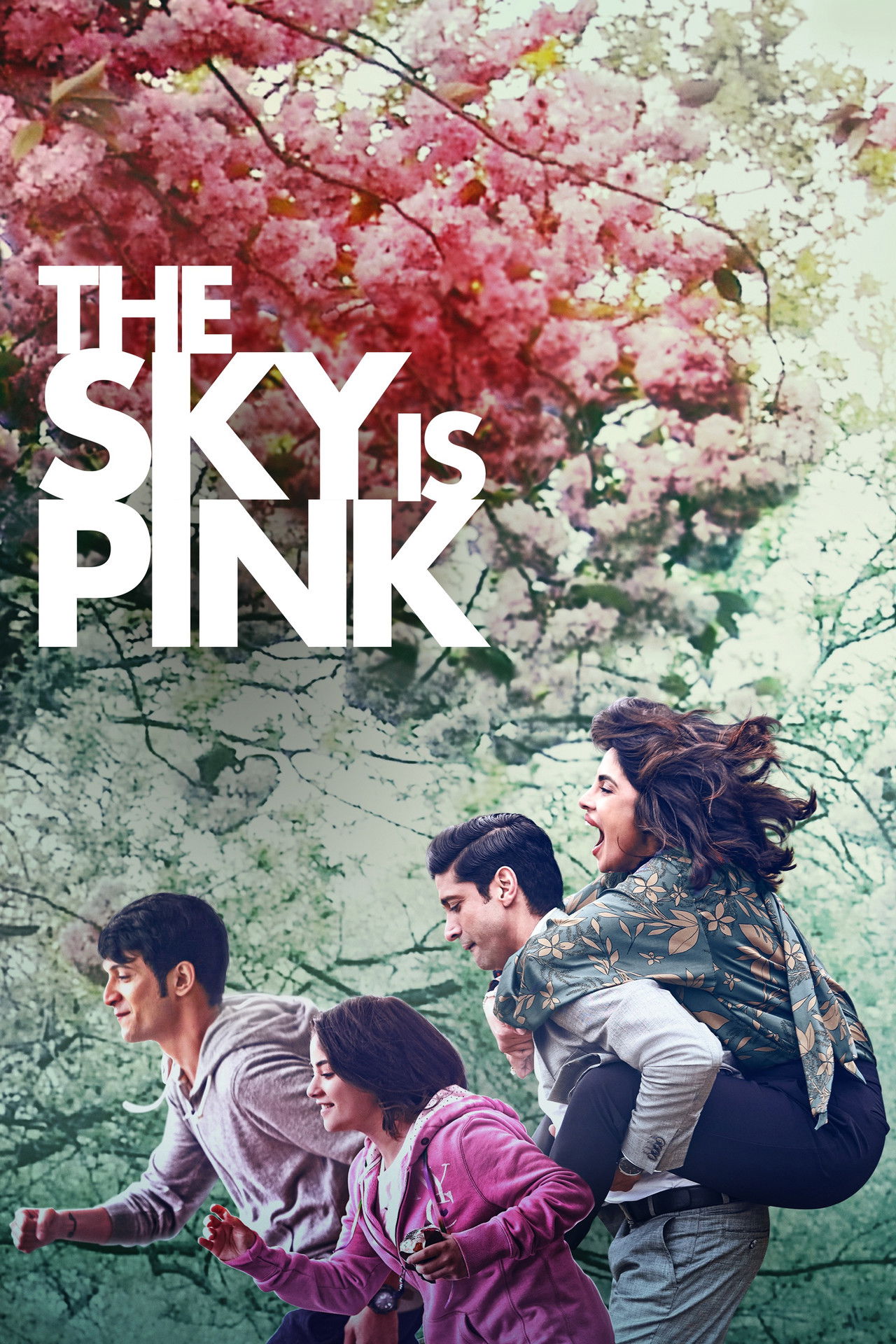 Pôster de O Céu é Rosa