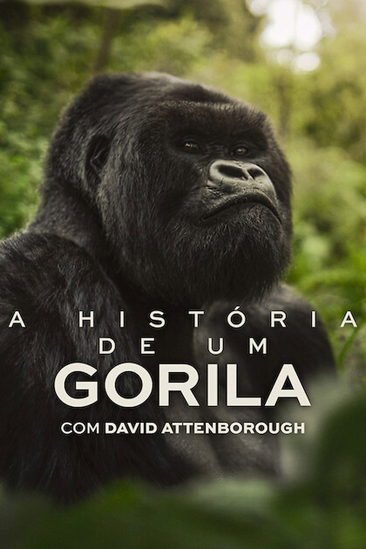 Pôster de A História de Um Gorila com David Attenborough