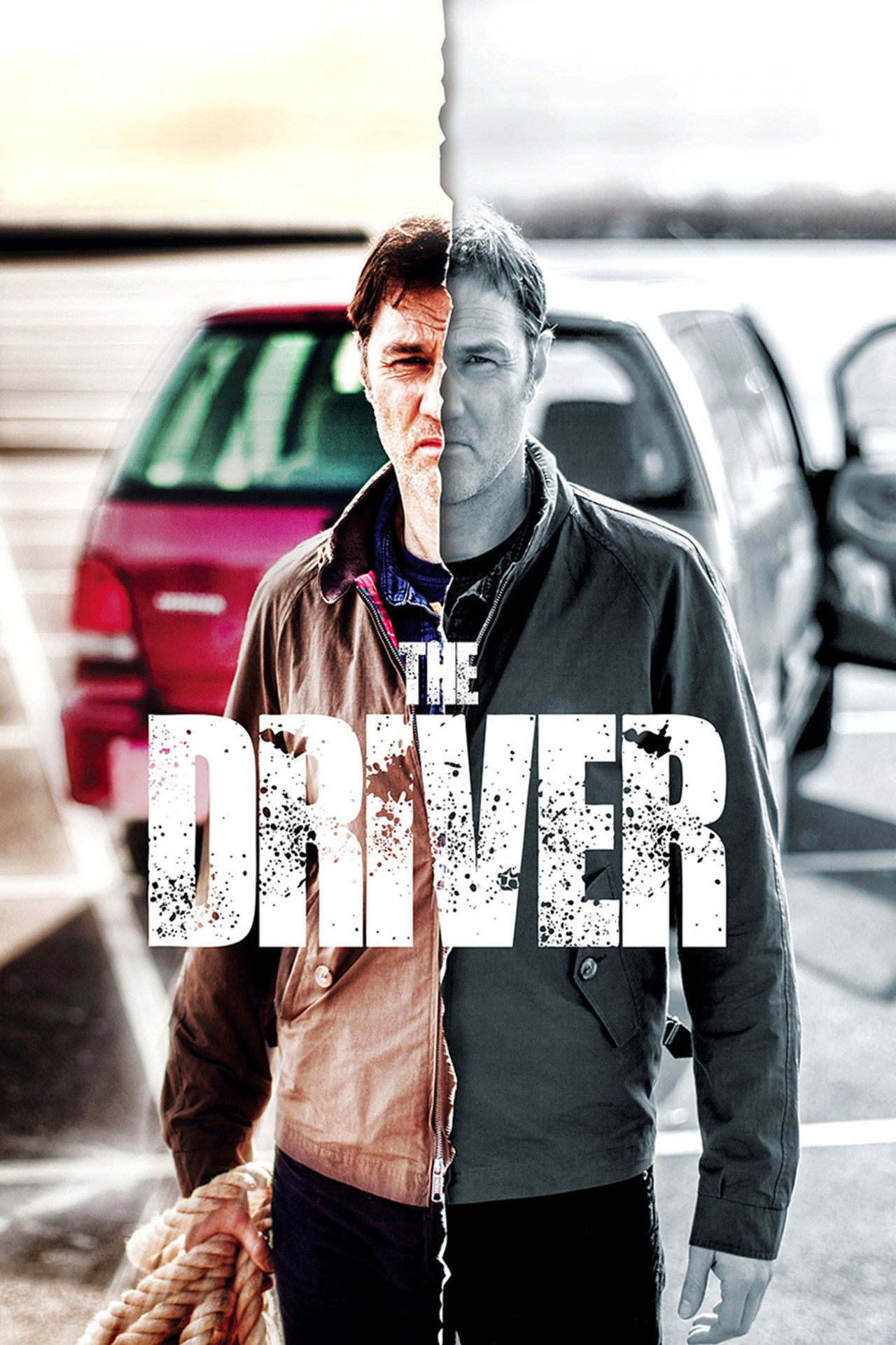 Pôster de The Driver