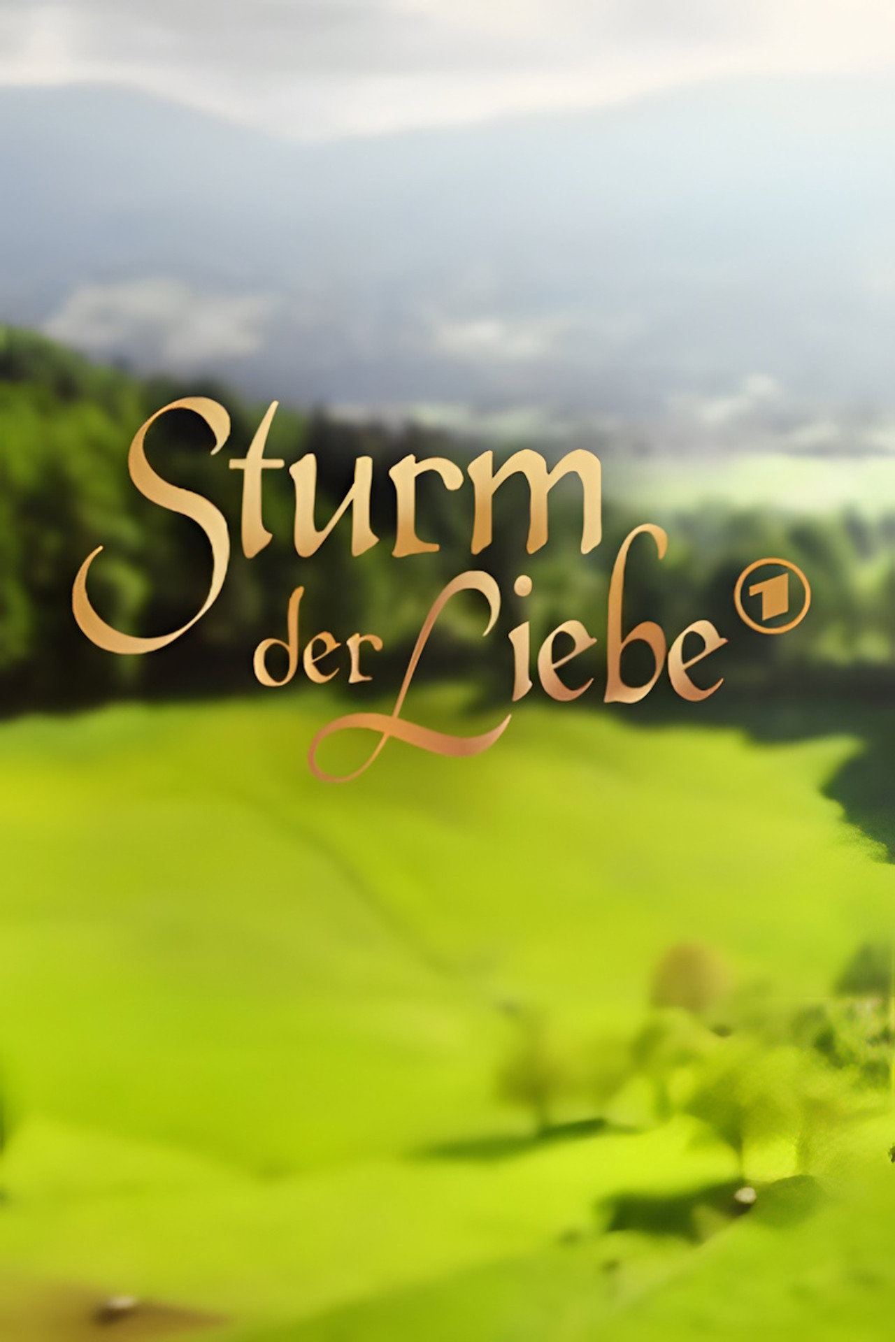 Pôster de Storm of Love