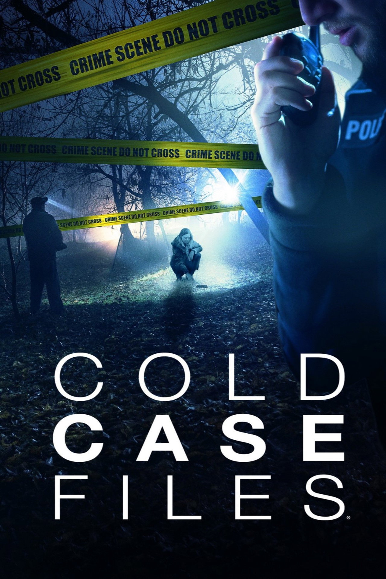 Pôster de Cold Case Files