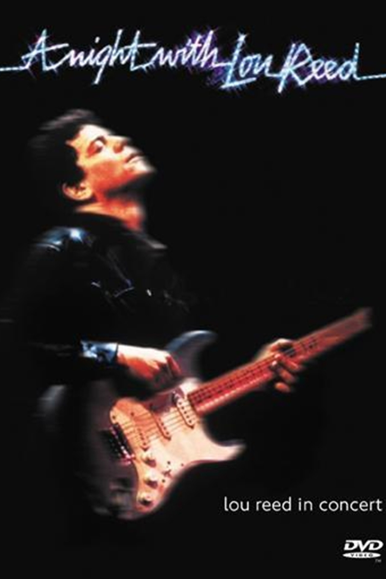 Pôster de A Night with Lou Reed