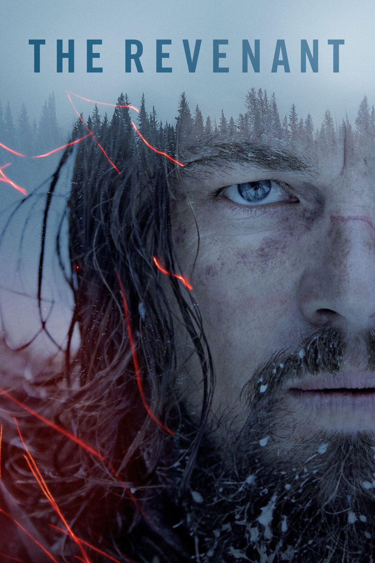 Pôster de The Revenant