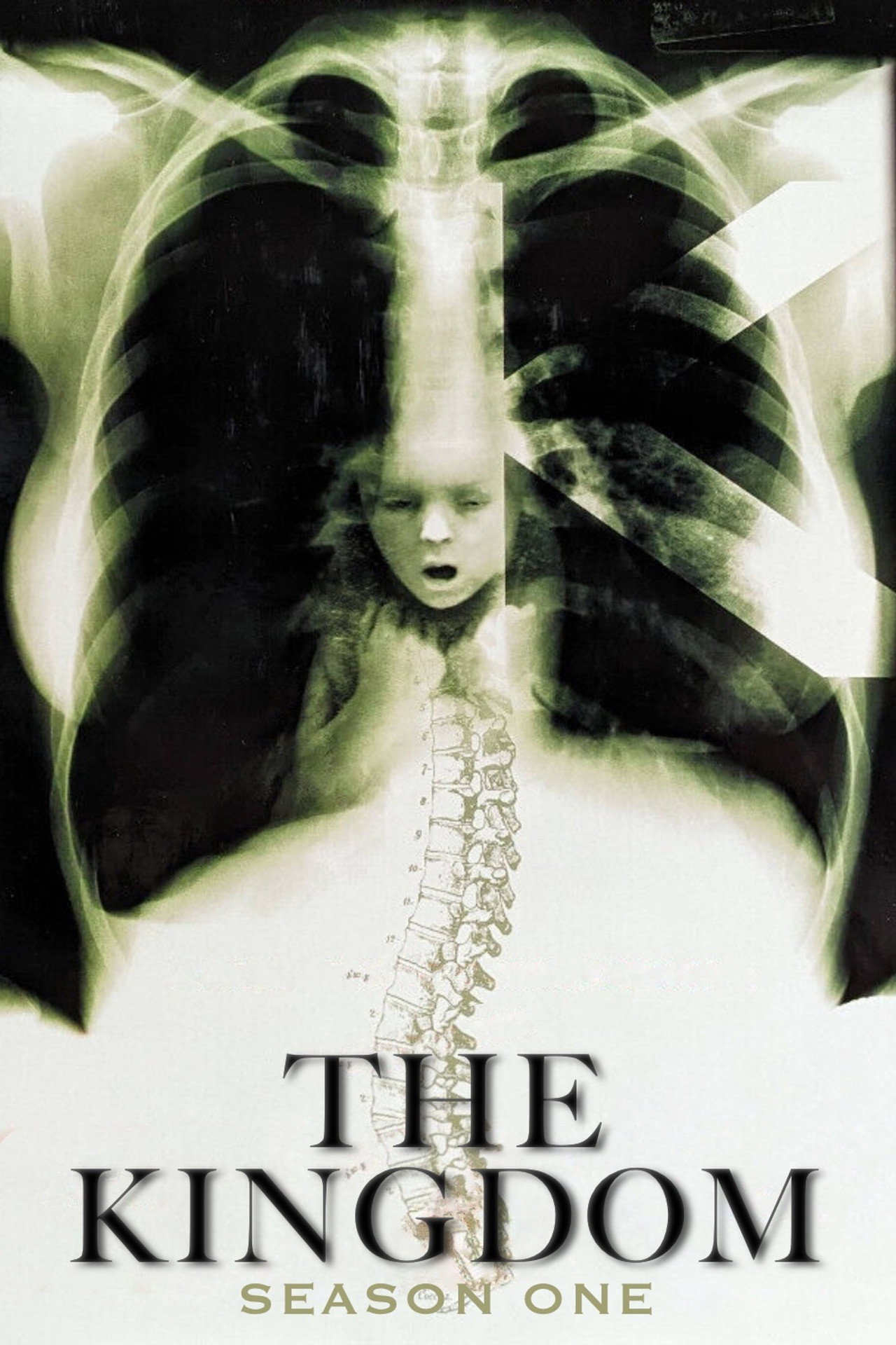 Pôster de The Kingdom