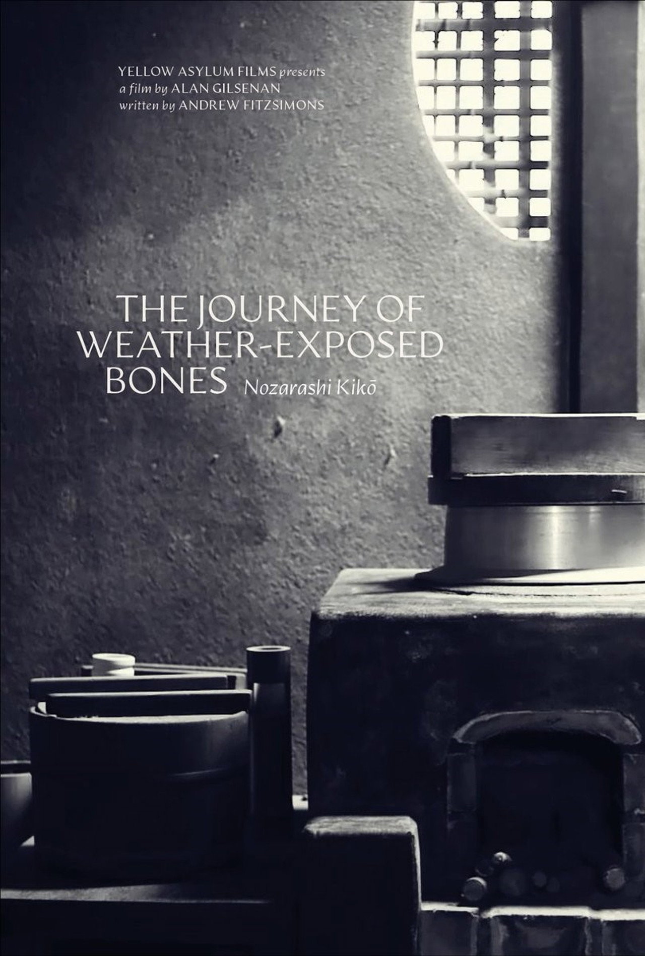 Pôster de The Journey of Weather-Exposed Bones