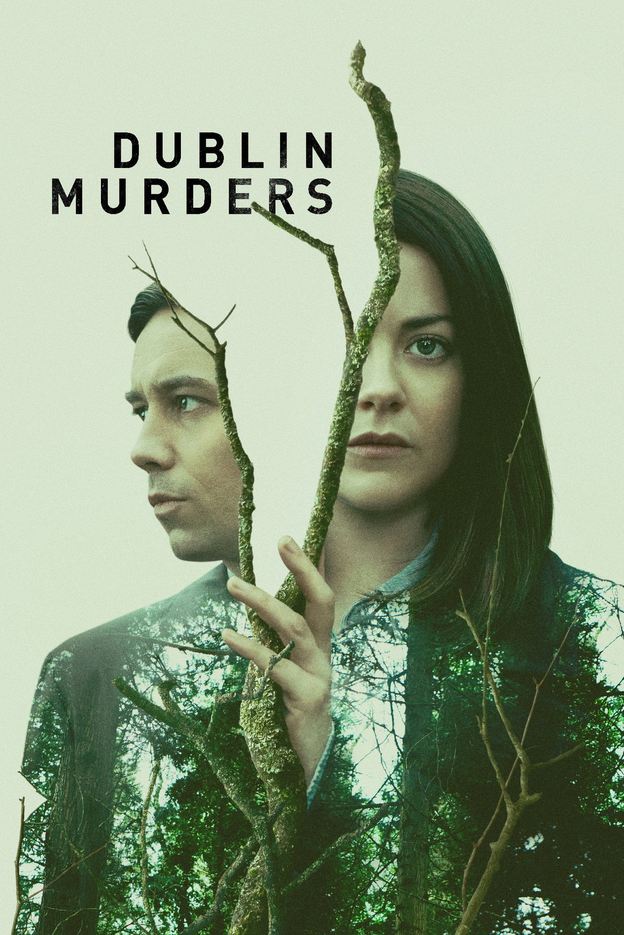 Pôster de Dublin Murders