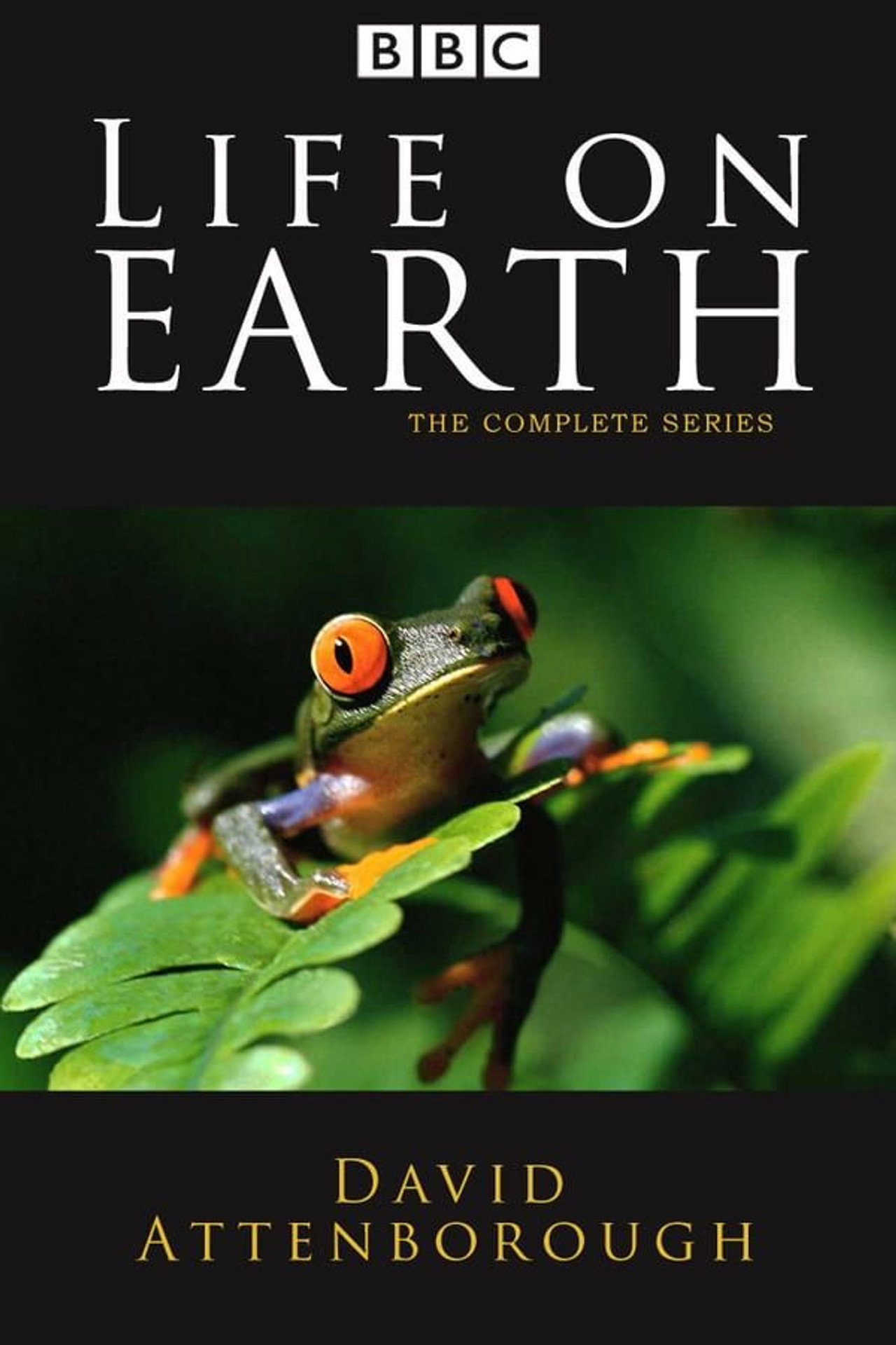 Pôster de Life on Earth